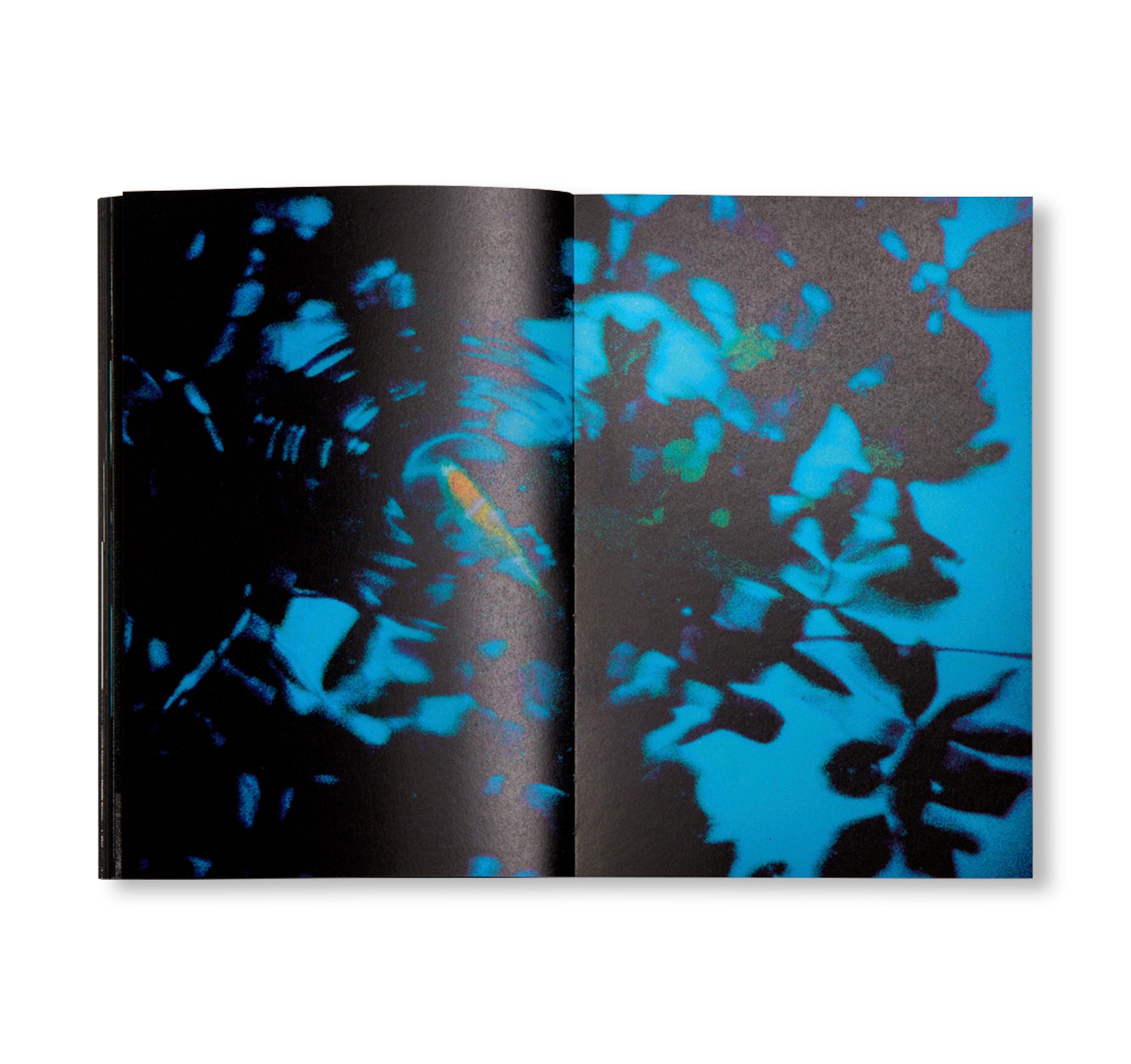 FIRST TRIP TO BOLOGNA 1978 / LAST TRIP TO VENICE 1985 by Seiichi Furuya