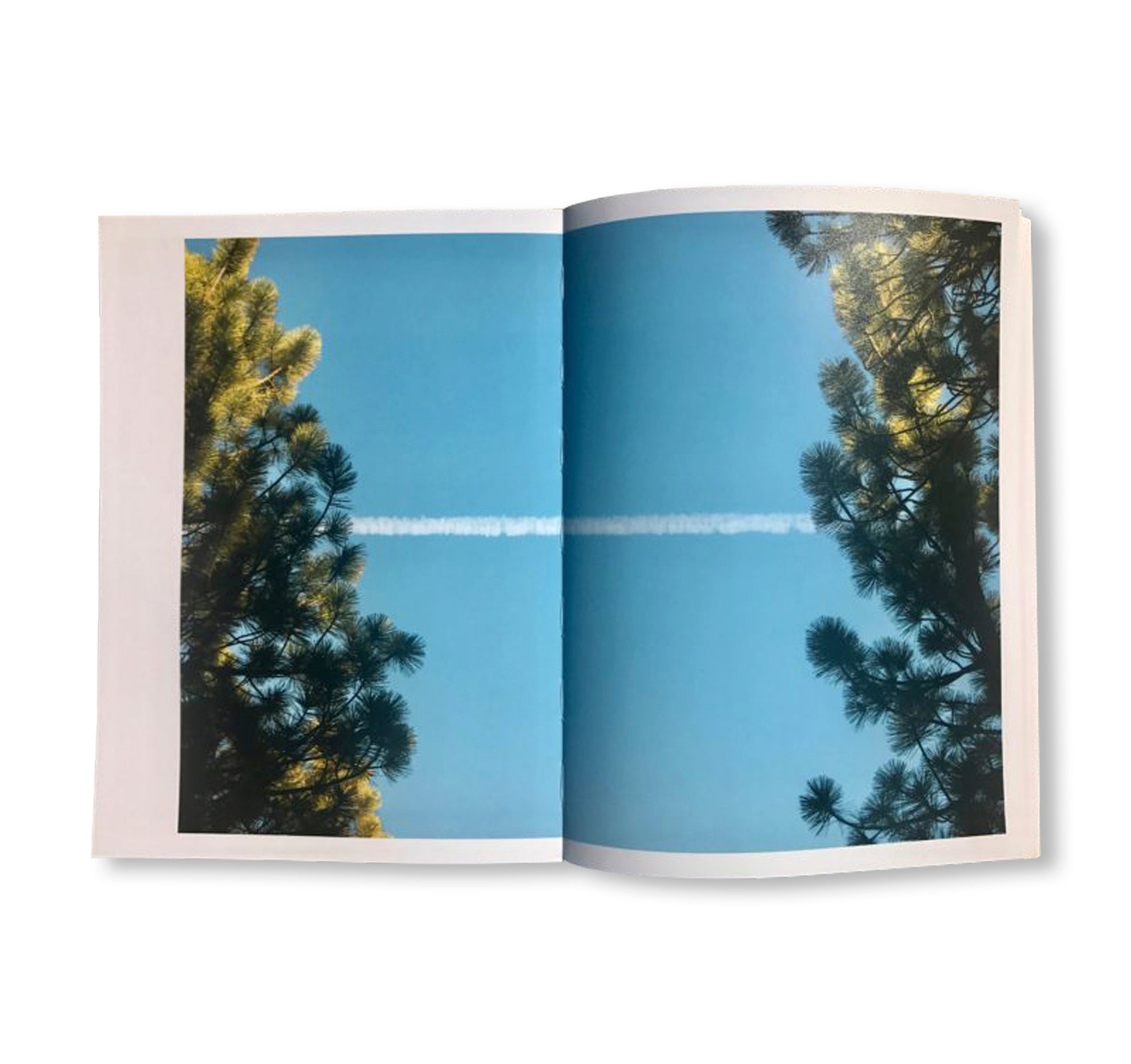 THE TRANSVERSE PATH (OR NATURE'S LITTLE SECRET) by Mike Slack