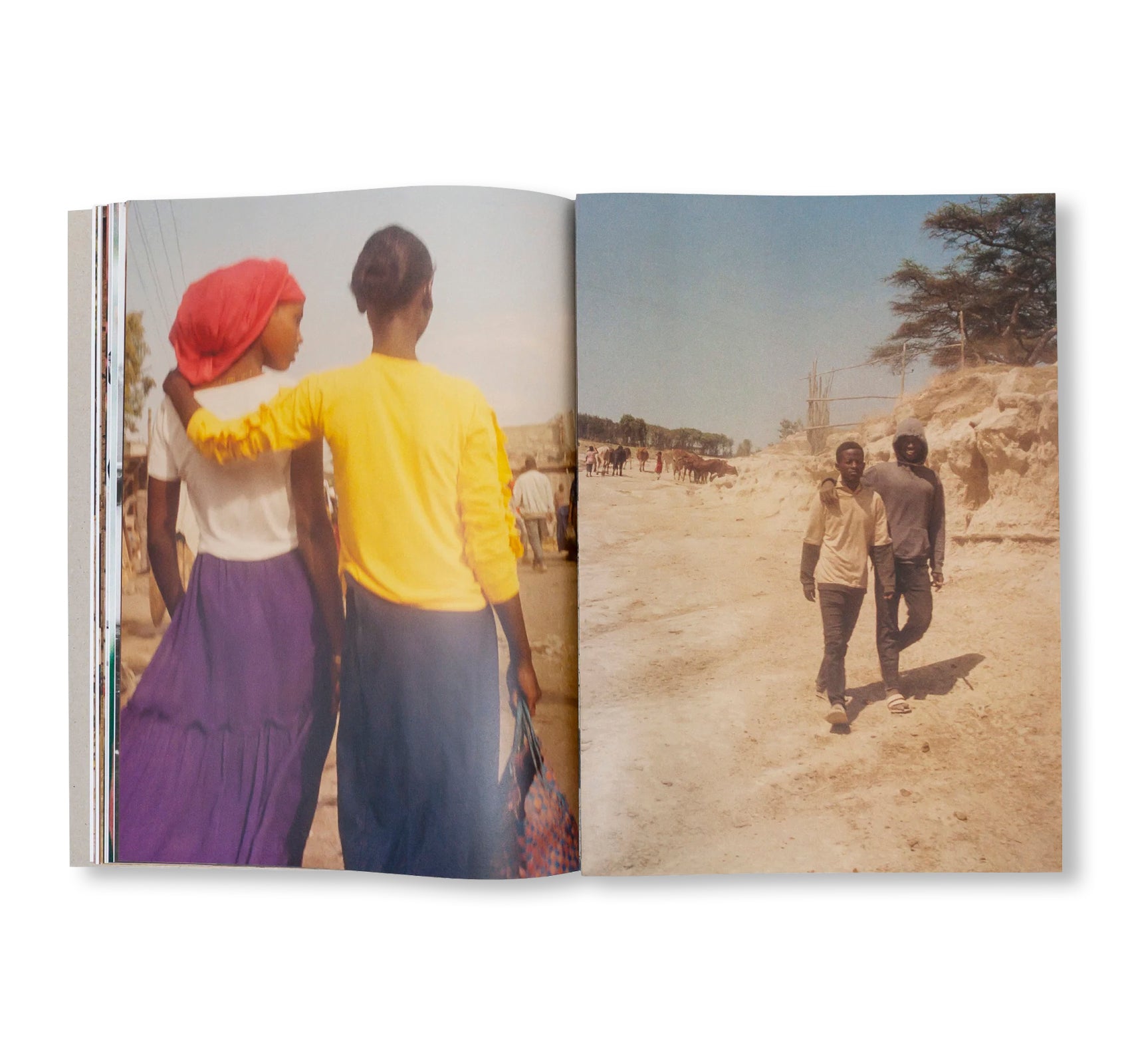 THE BRIDGE OF BULBULA by Quentin de Briey, Achraf Issami