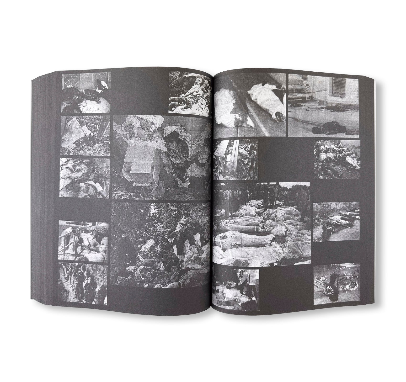 PROVISORIA by Ria Verhaeghe