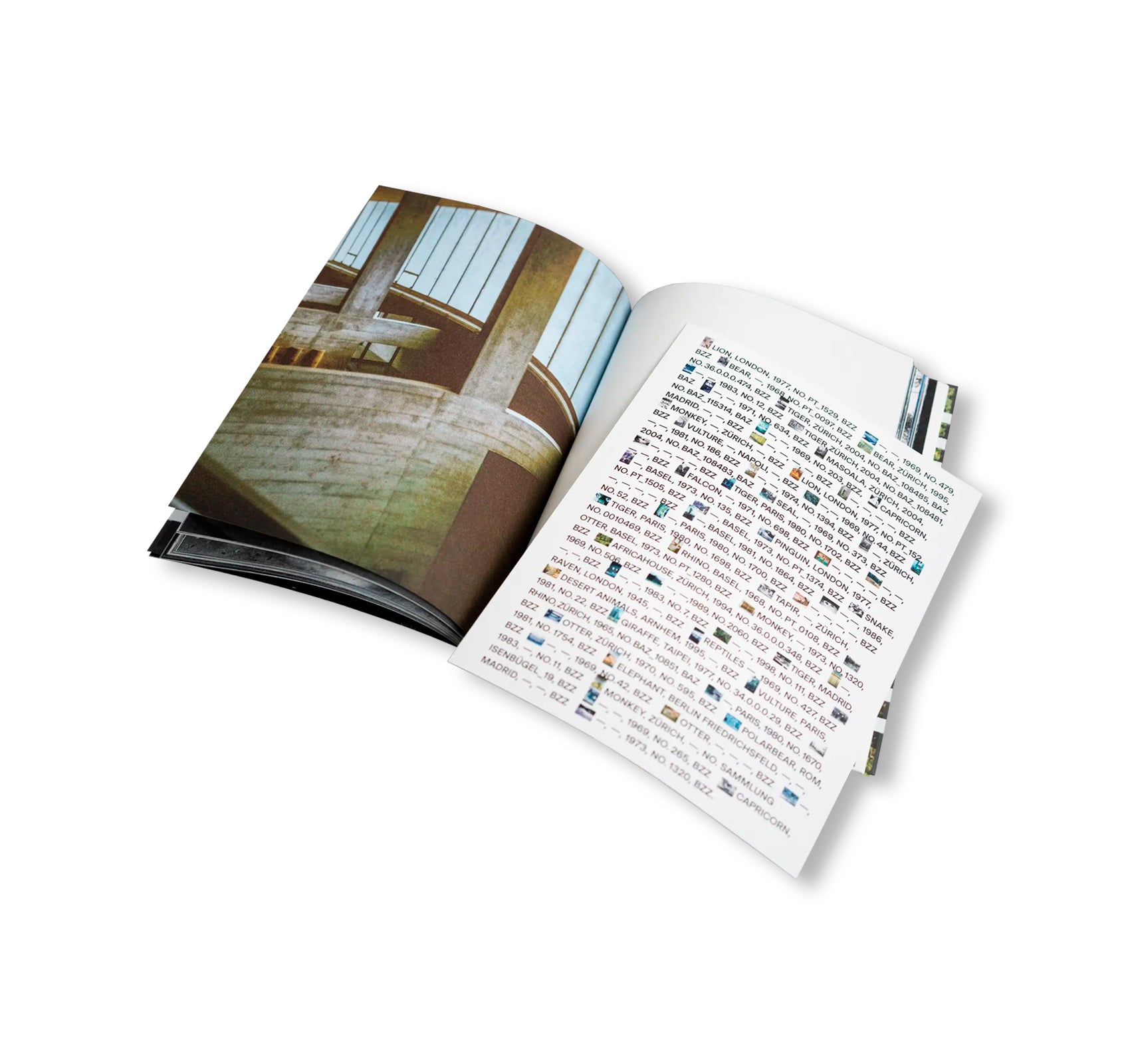 GEHEGE by Sara Arzu Hardegger, Vanja Ivana Jelić