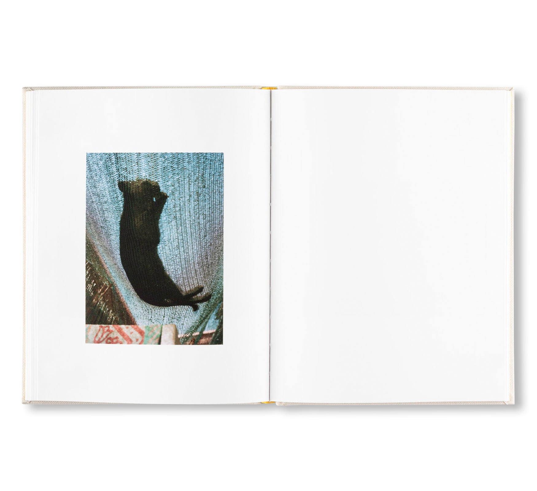 INSIEME by Irina Rozovsky, Mark Steinmetz