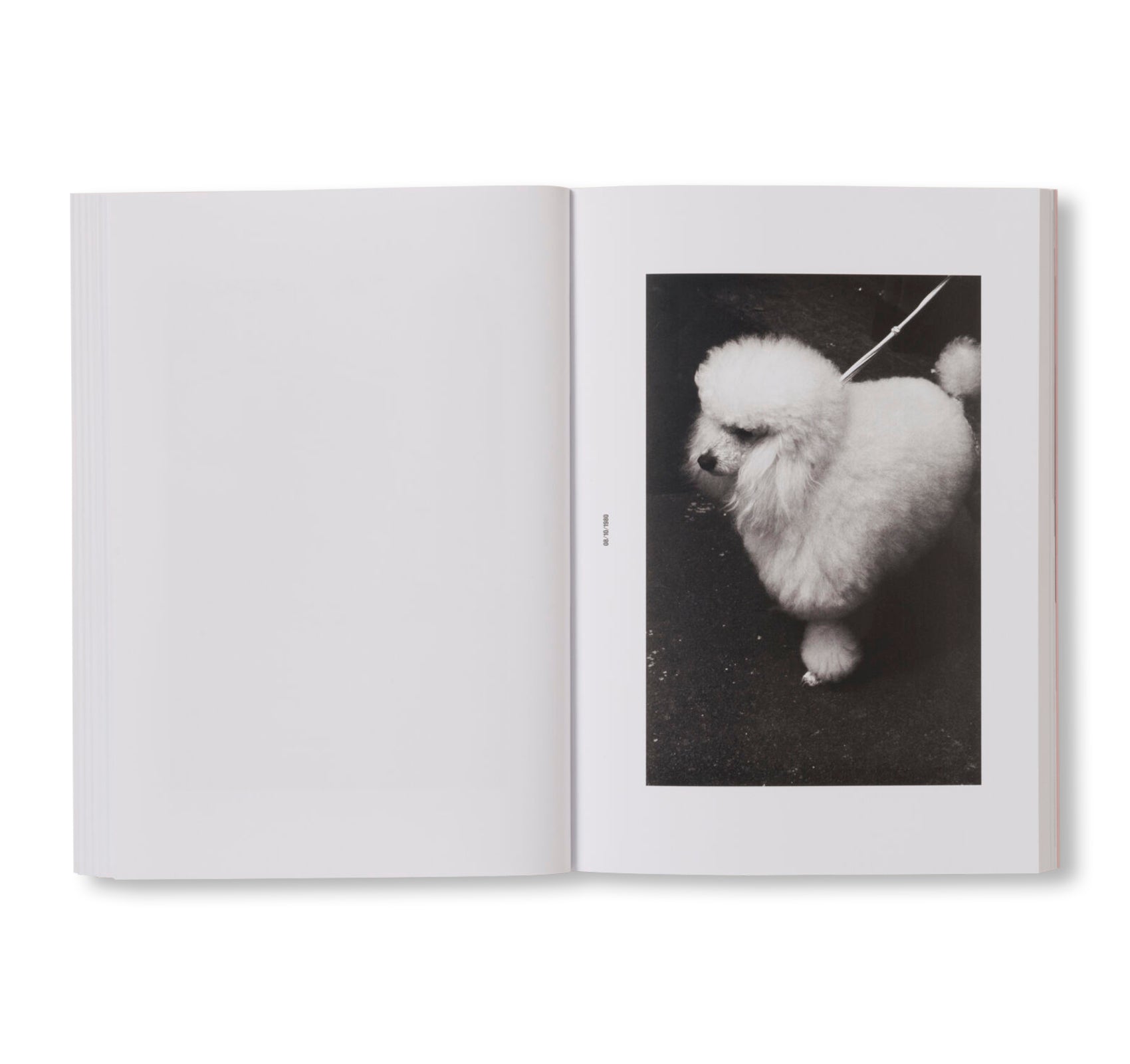 PHOTOGRAPHS (1978-1985) by Christine Furuya-Gössler