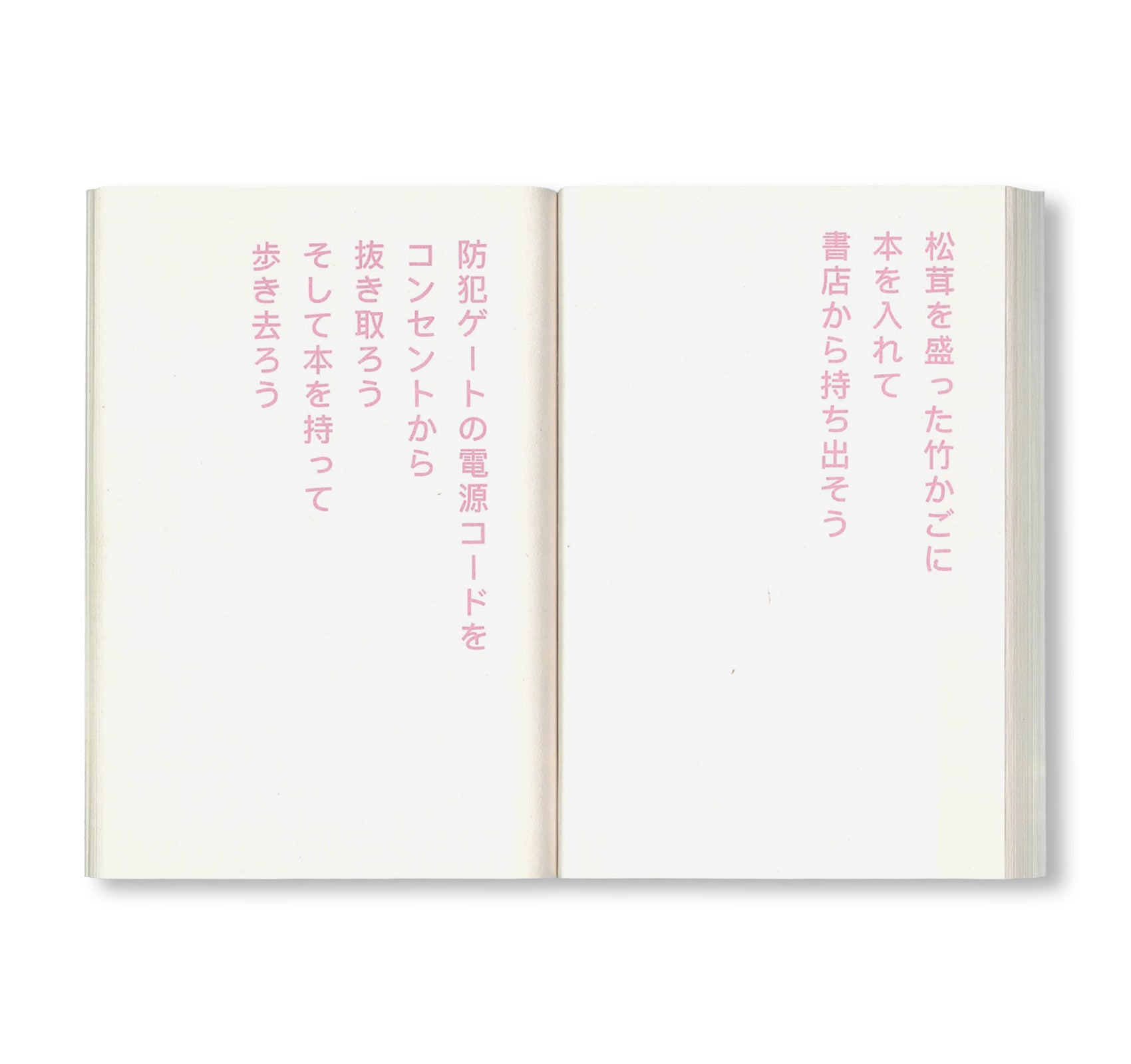 書店で万引きをする方法 by David Horvitz