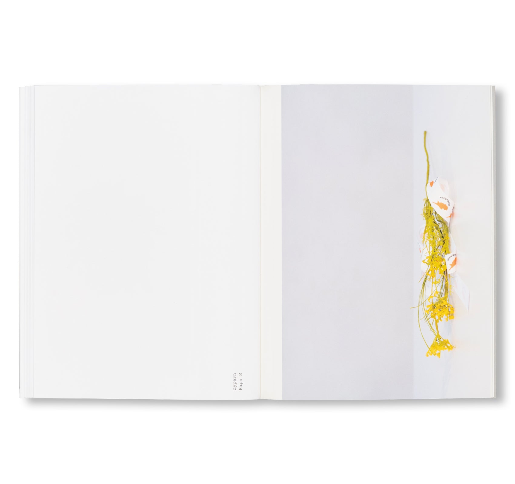 FLEUROP by Sebastian Utzni