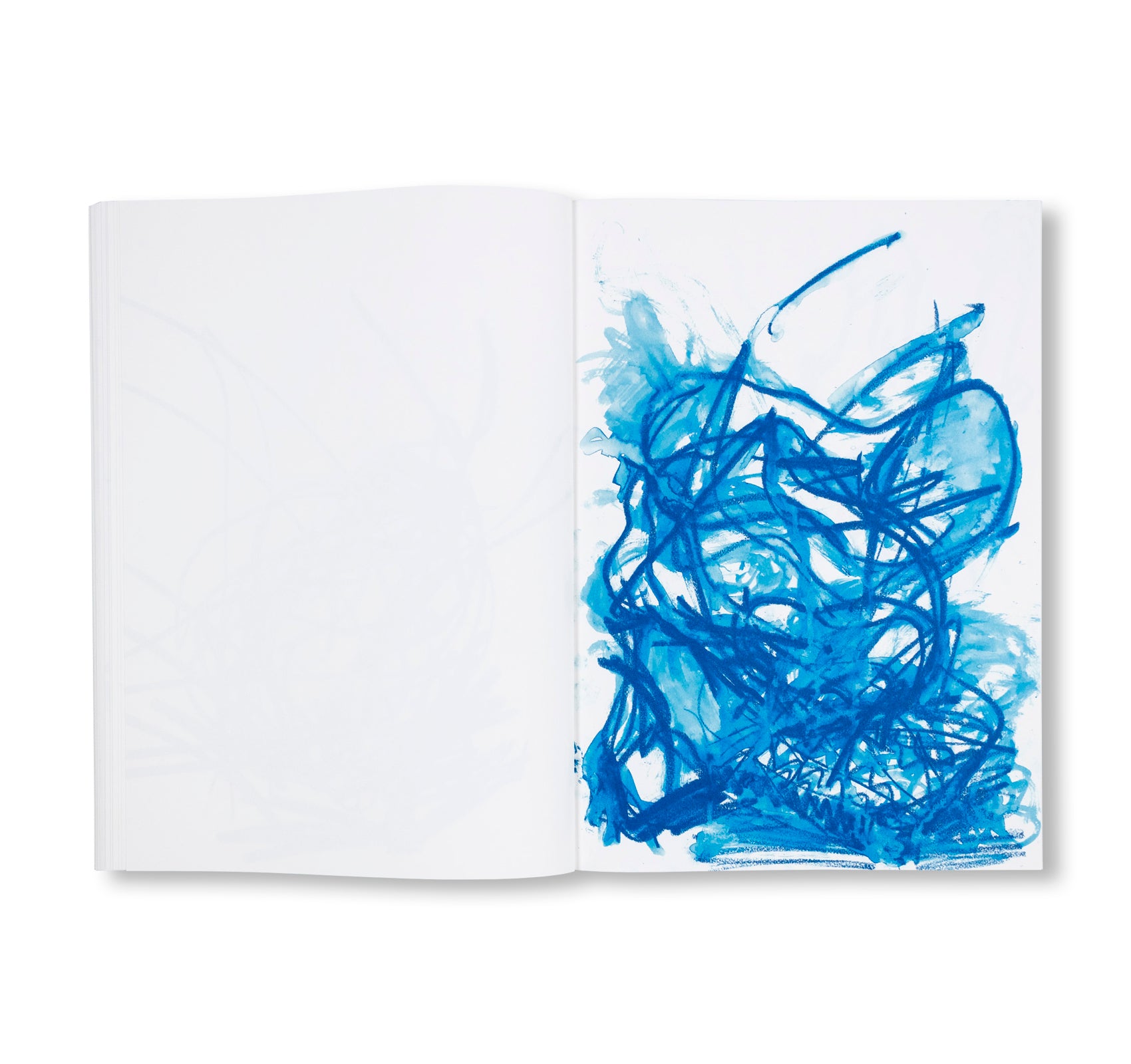 NOT QUITE GOOD ENOUGH TO BE ON TV HARMONIES by Joanne Robertson