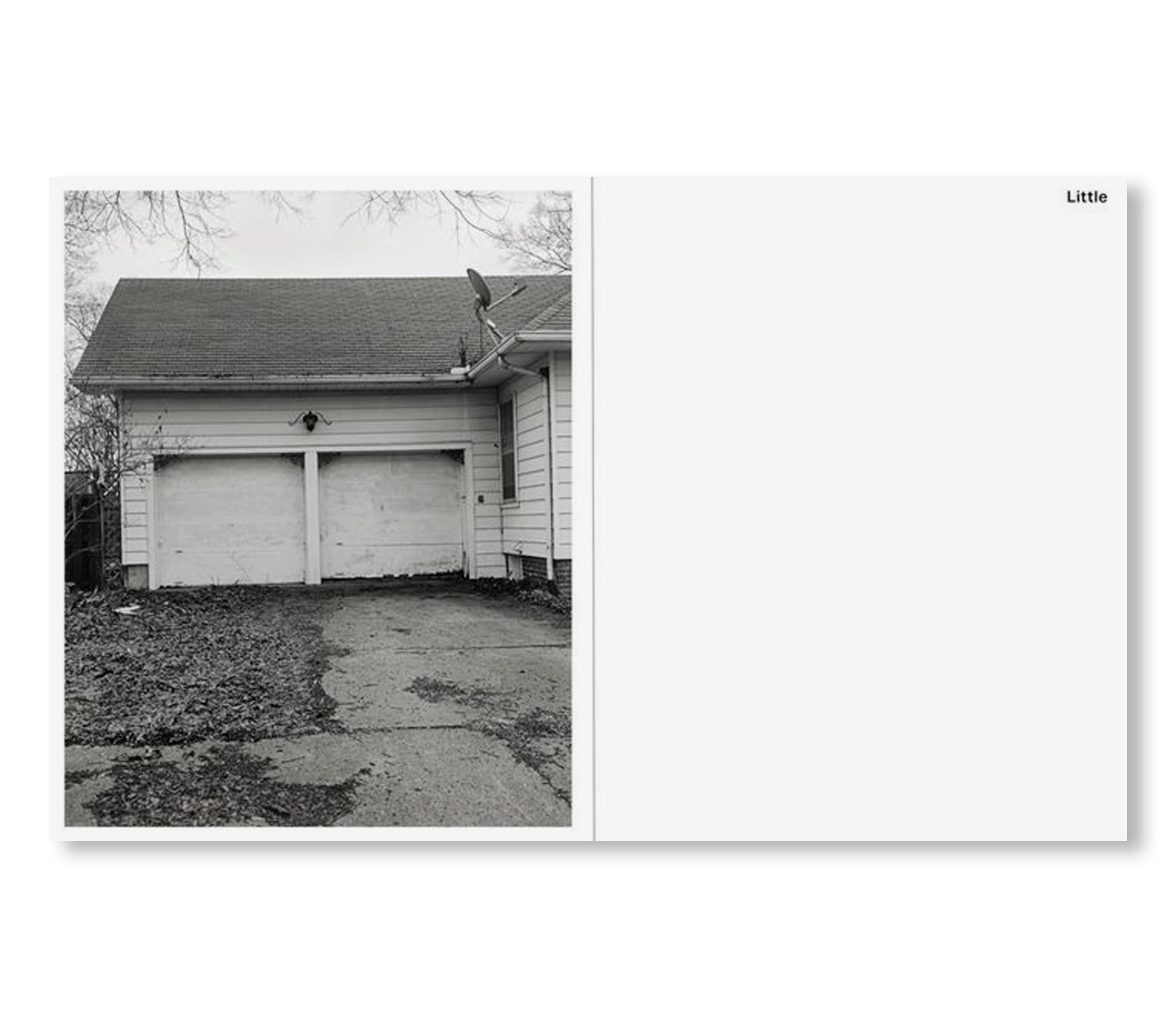 LITTLE by Tim Carpenter