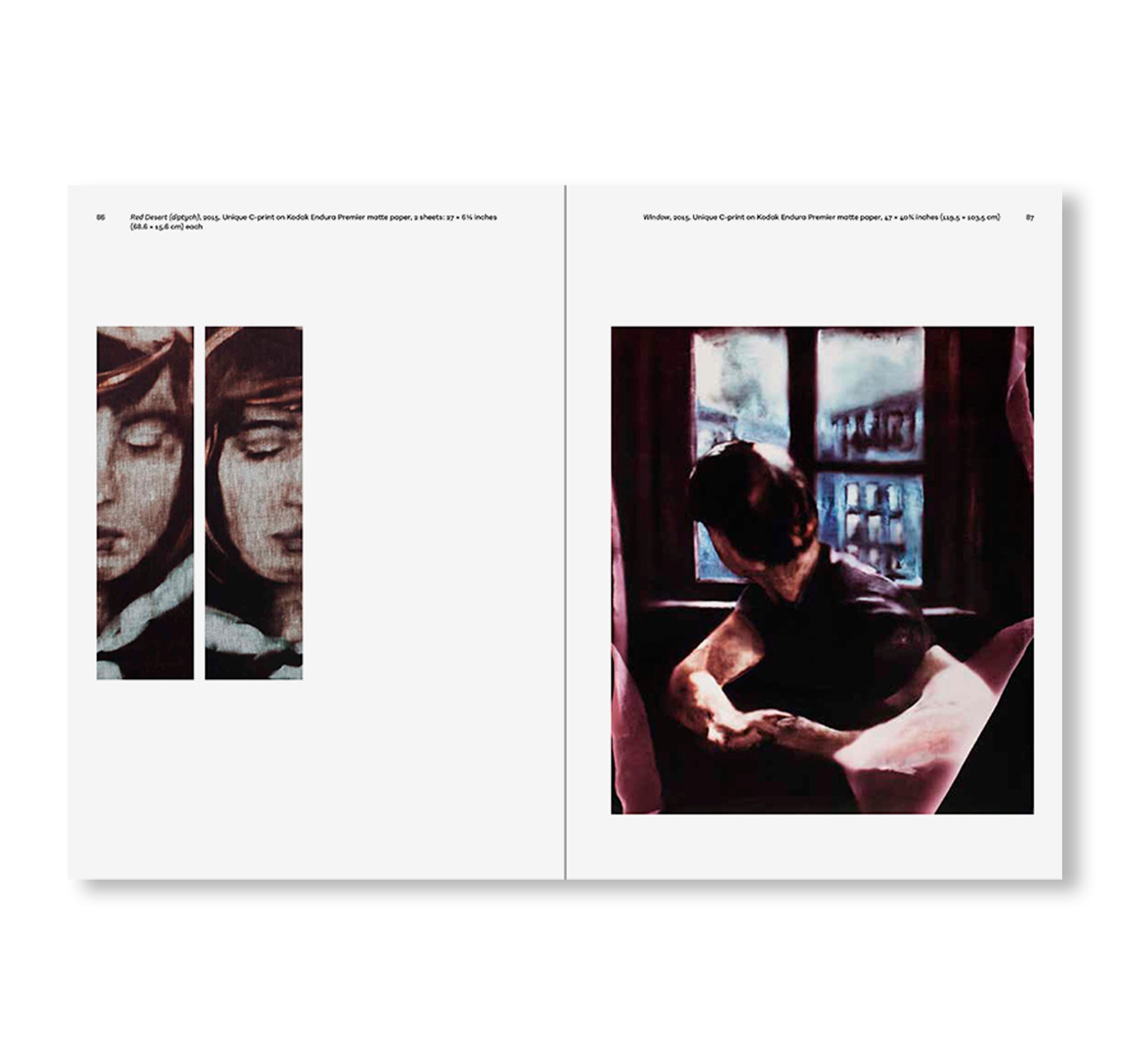 POEMS OF OUR CLIMATE by Matt Saunders