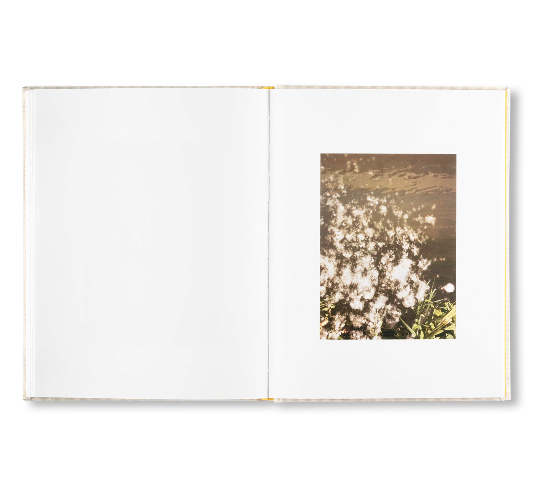 INSIEME by Irina Rozovsky, Mark Steinmetz