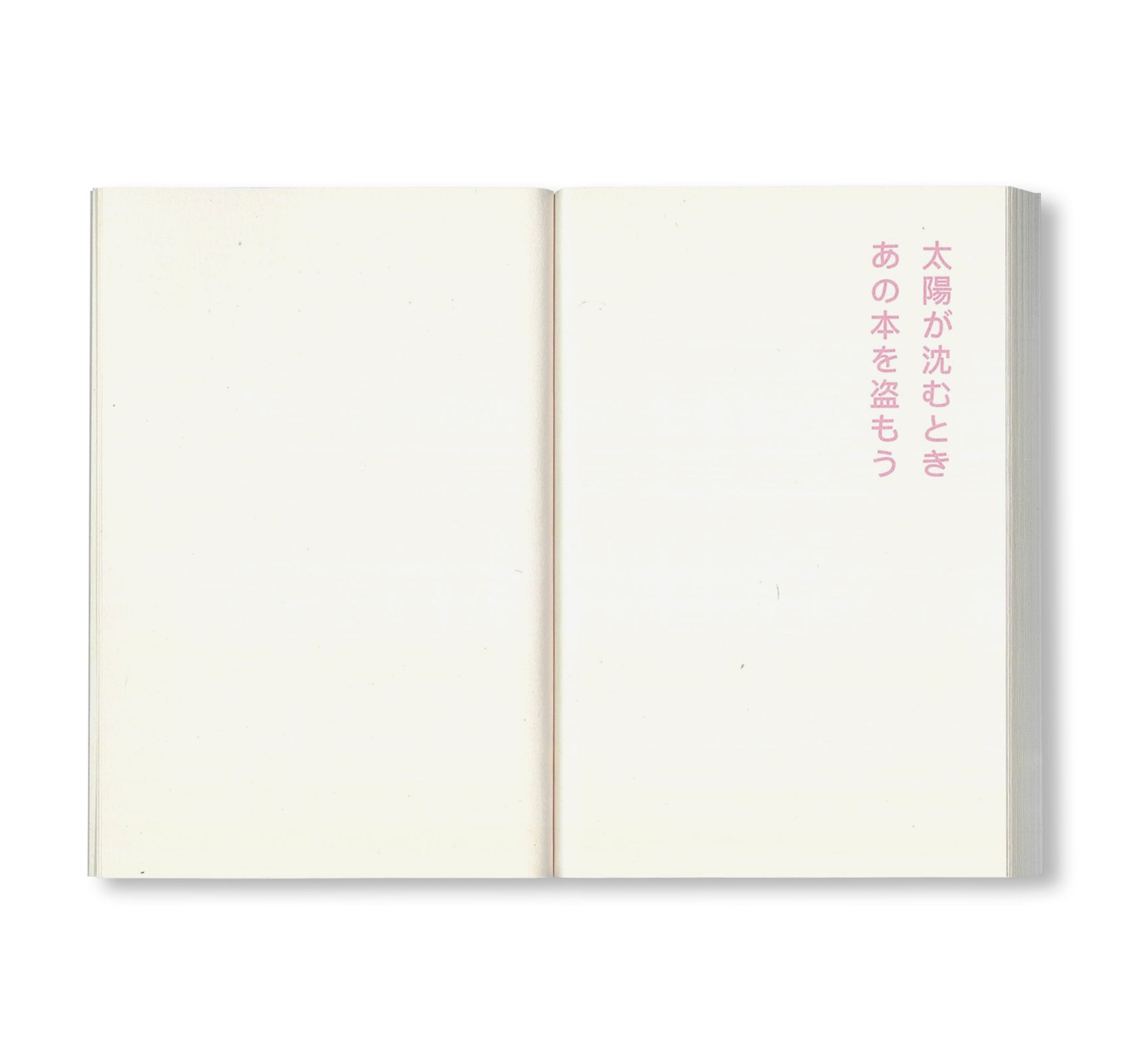 書店で万引きをする方法 by David Horvitz