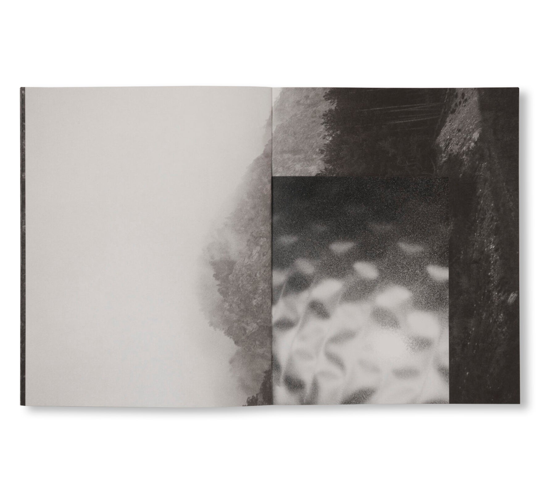 LA RONDE DES HIRONDELLES by Florence Cuschieri