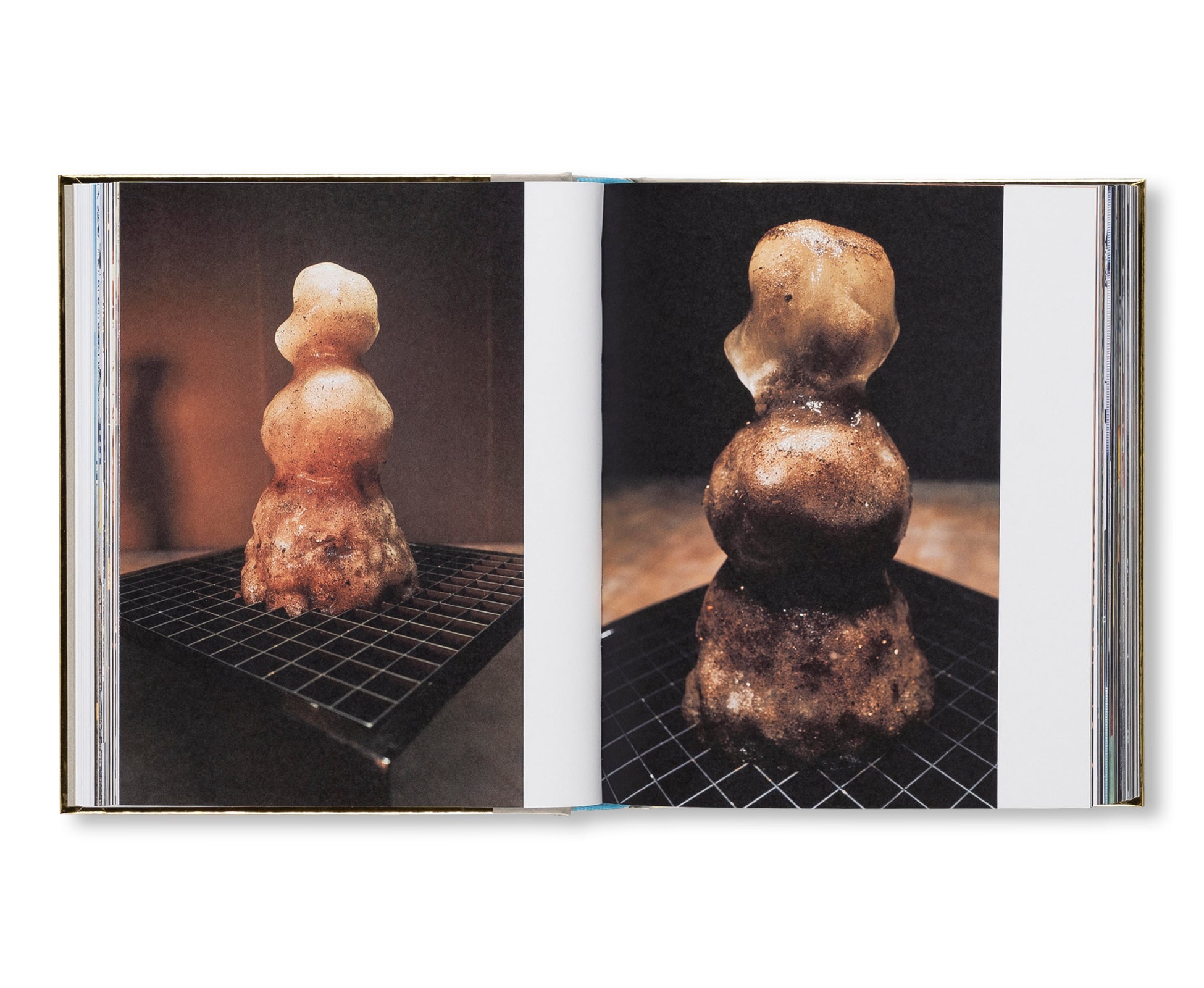 VOICES by Philippe Parreno