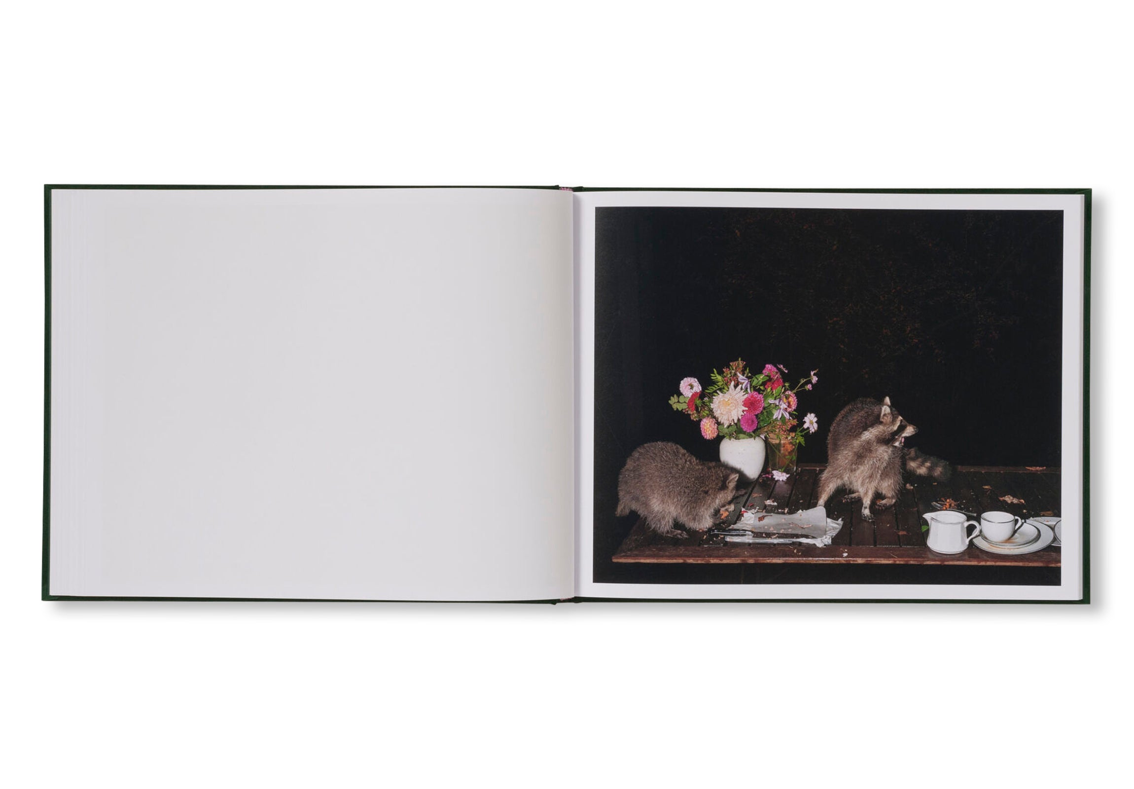 PLATES I-XXXI by Lia Darjes