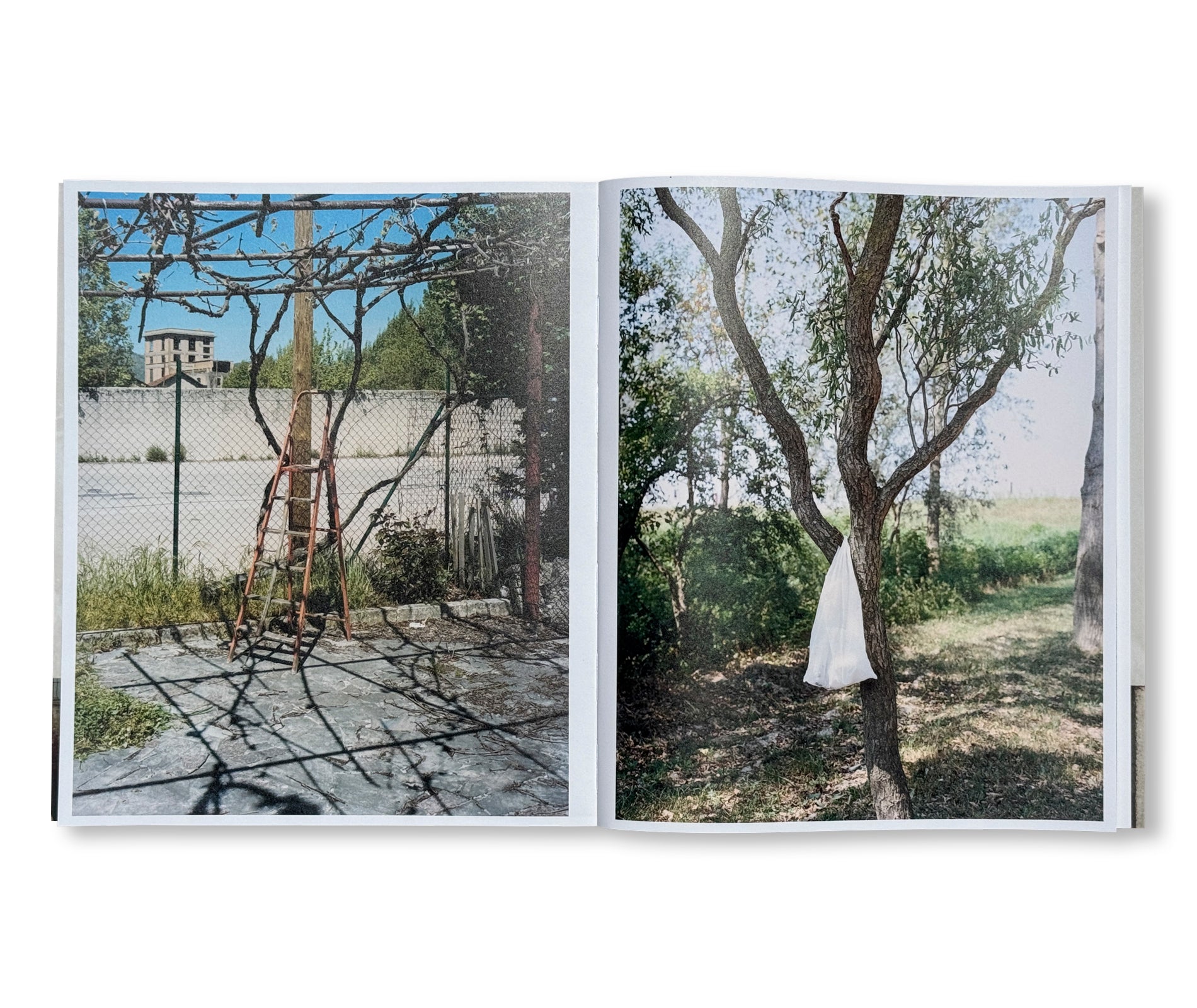 TRUE PLACES NEVER ARE by Matteo Di Giovanni