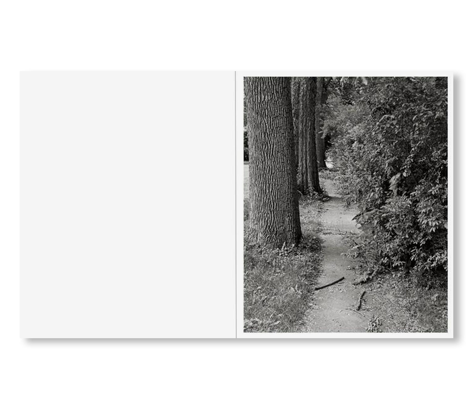 LITTLE by Tim Carpenter