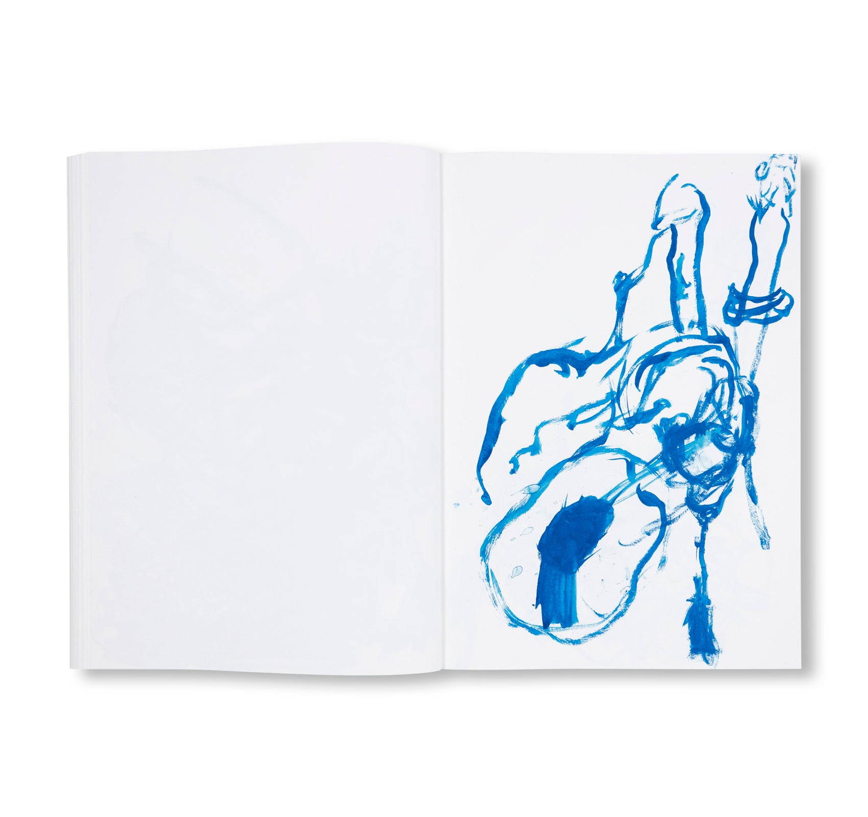 NOT QUITE GOOD ENOUGH TO BE ON TV HARMONIES by Joanne Robertson