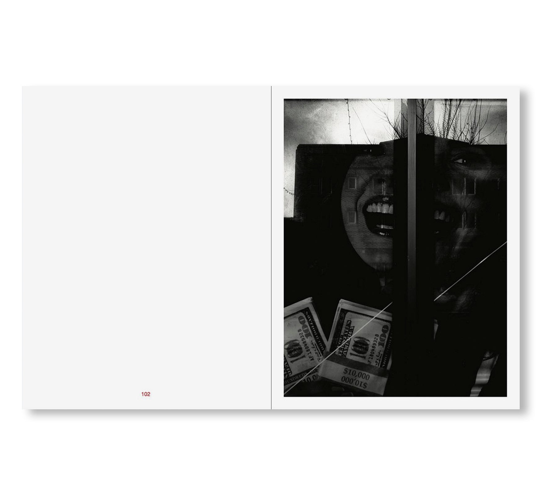 TIN LIZARDS by Robert LeBlanc