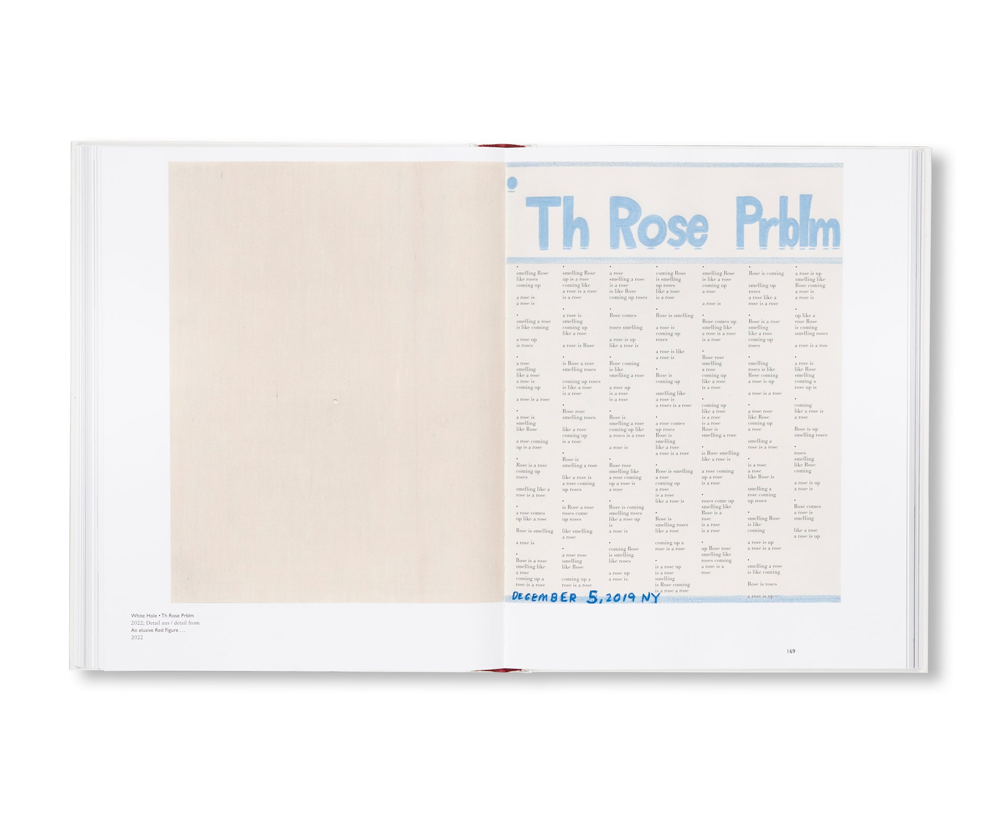 GIVE ME PARADOX OR GIVE ME DEATH by Roni Horn