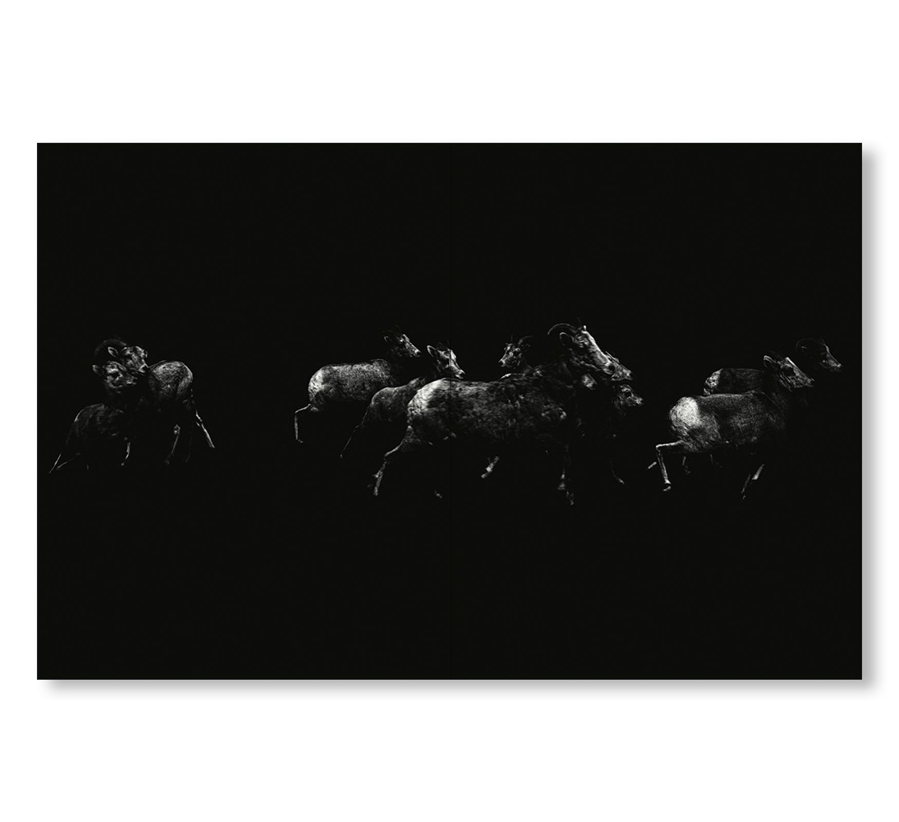 TIN LIZARDS by Robert LeBlanc