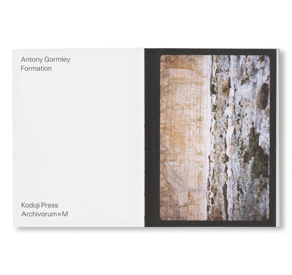 洋書　Antony Gormley 洋書 Antony Gormley Shaping the World: Sculpture from