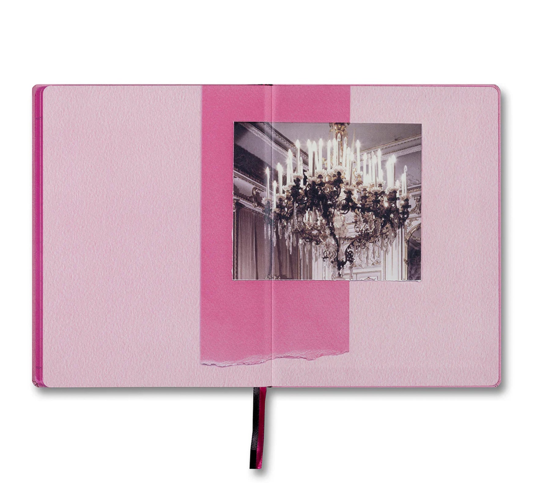 THE IMPORTANT FLOWERS PLANNER 2025 by Sofia Coppola