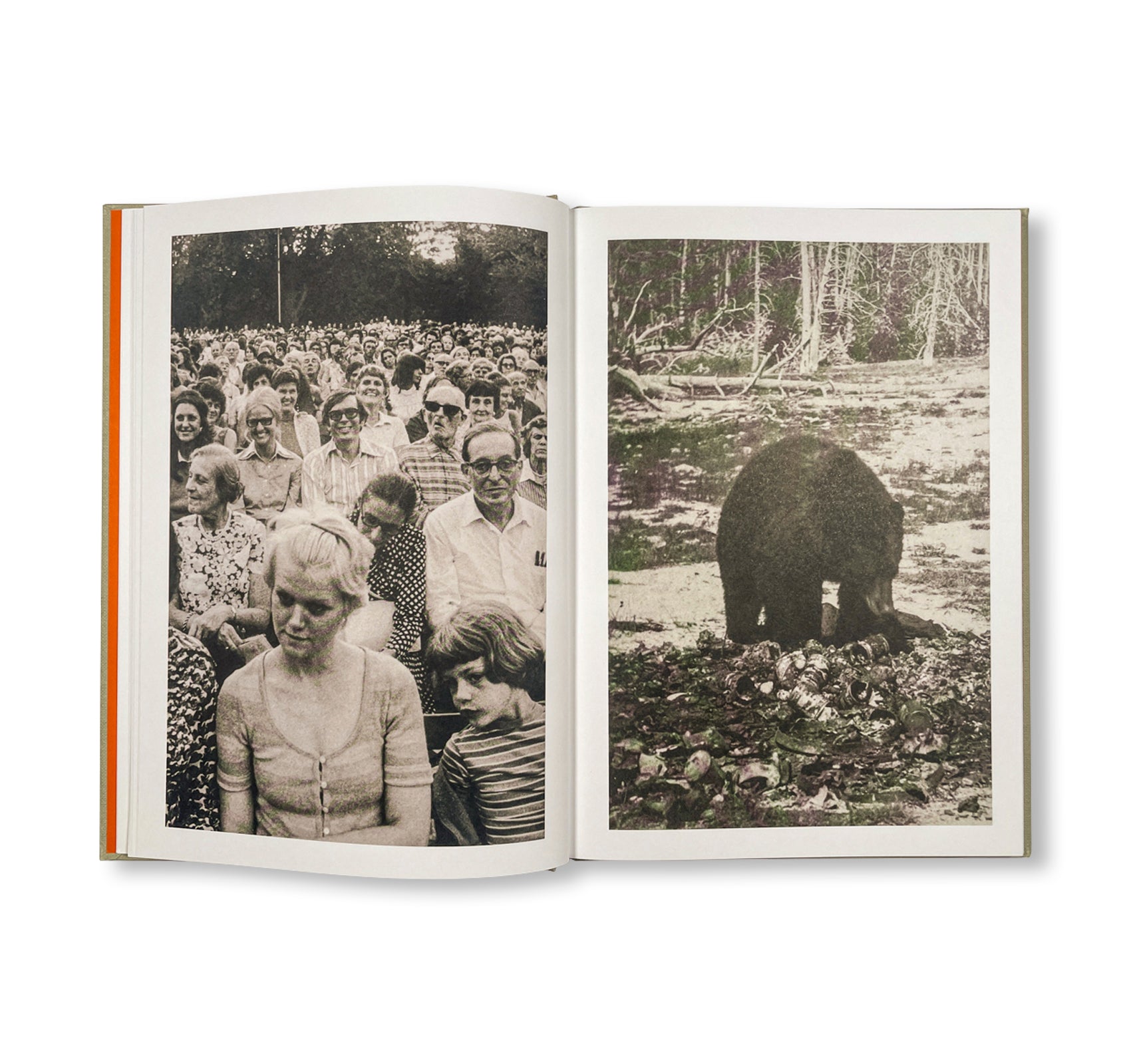 THE LOTTERY by Melissa Catanese