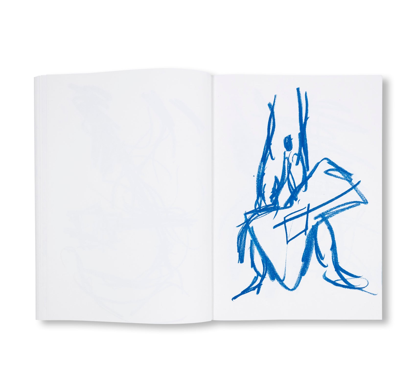 NOT QUITE GOOD ENOUGH TO BE ON TV HARMONIES by Joanne Robertson