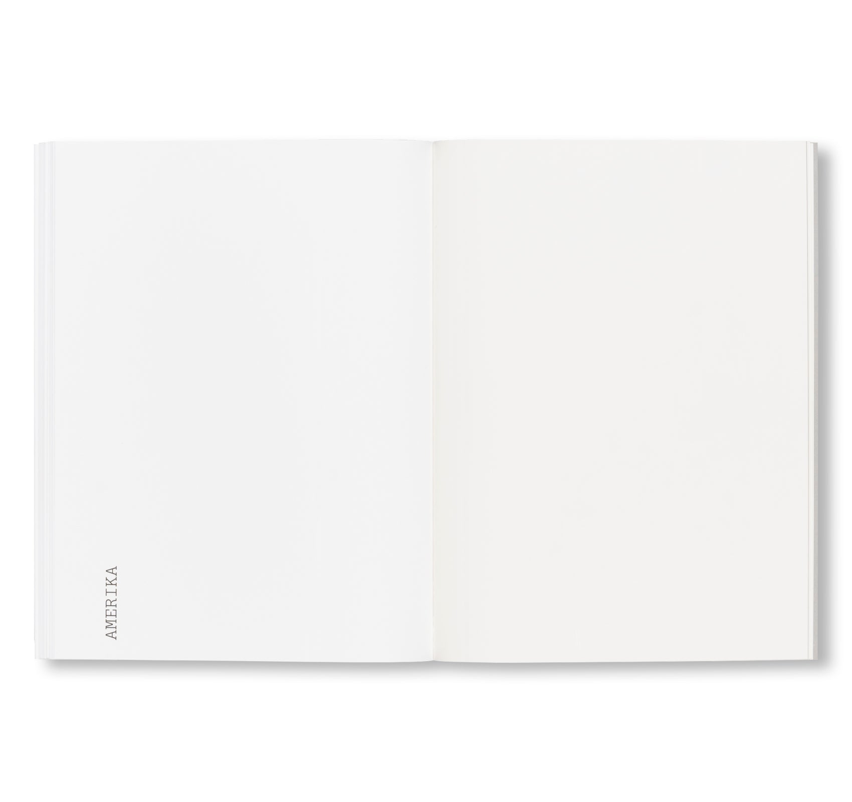 FLEUROP by Sebastian Utzni