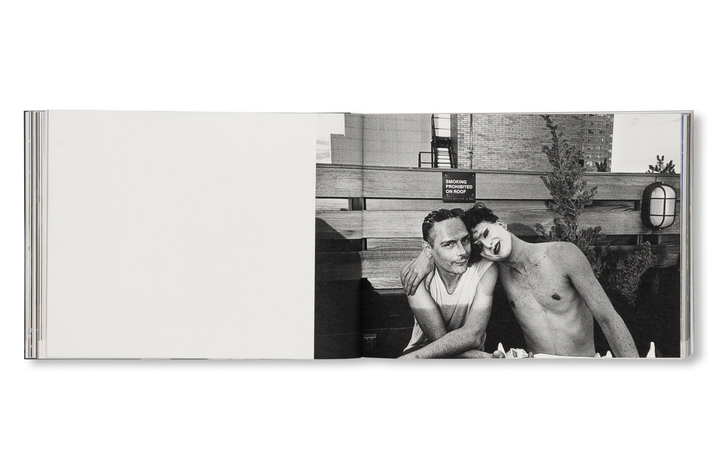 DANCING ON THE FAULT LINE by Nick Haymes