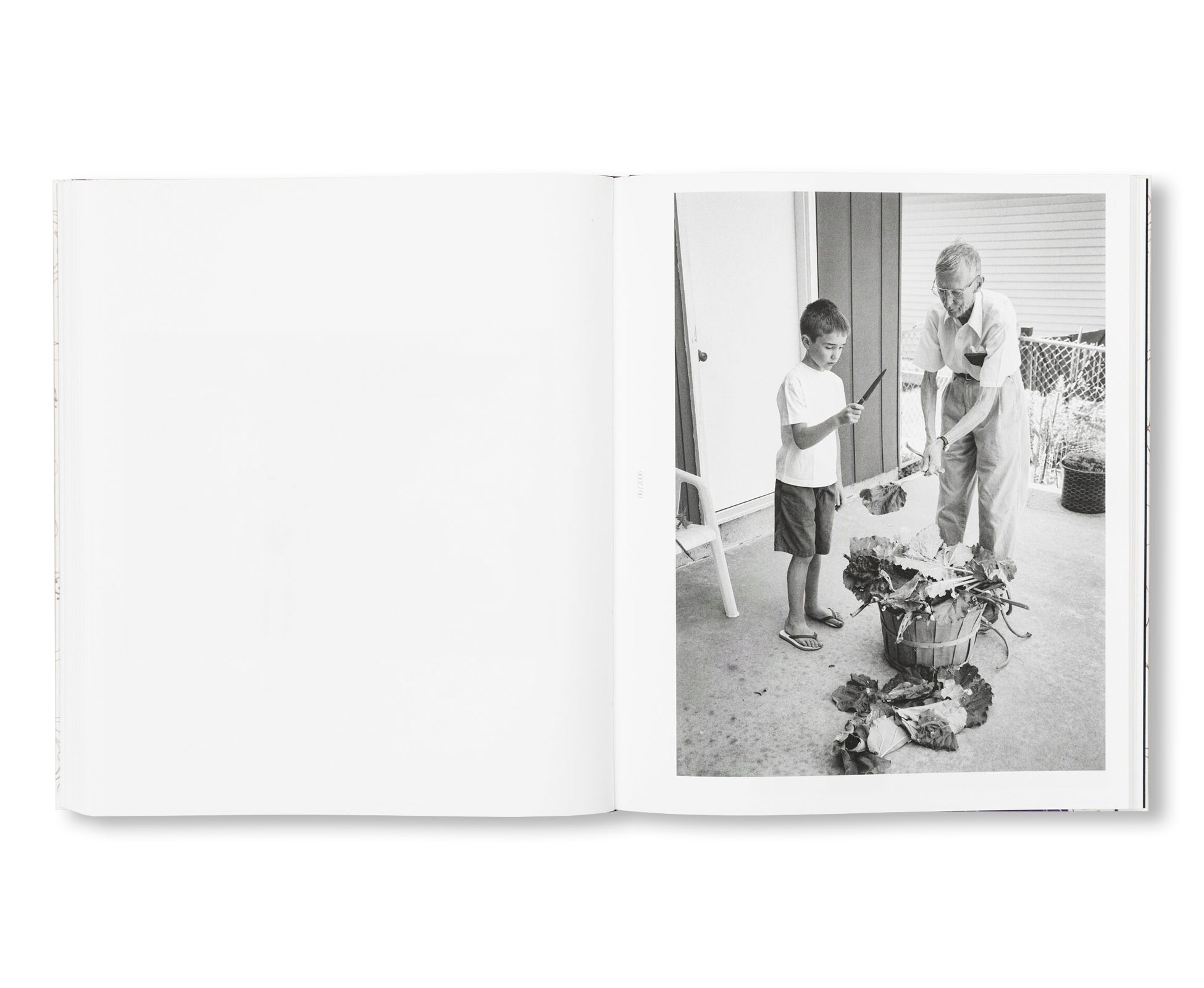 RELATIVE MOMENTS by Deanna Dikeman