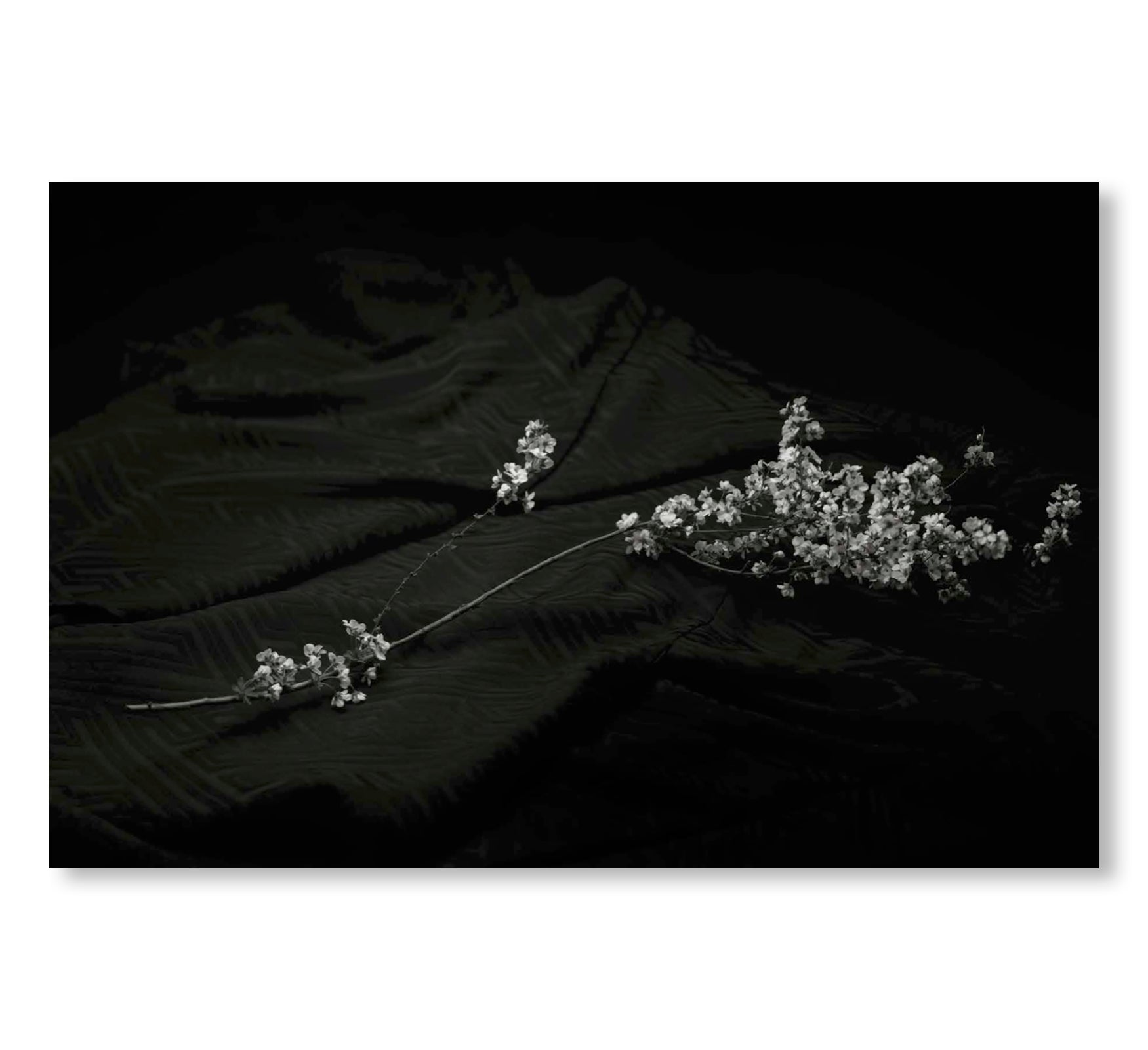 MONO NO AWARE・BEAUTY OF IMPERMANENCE by Kenro Izu