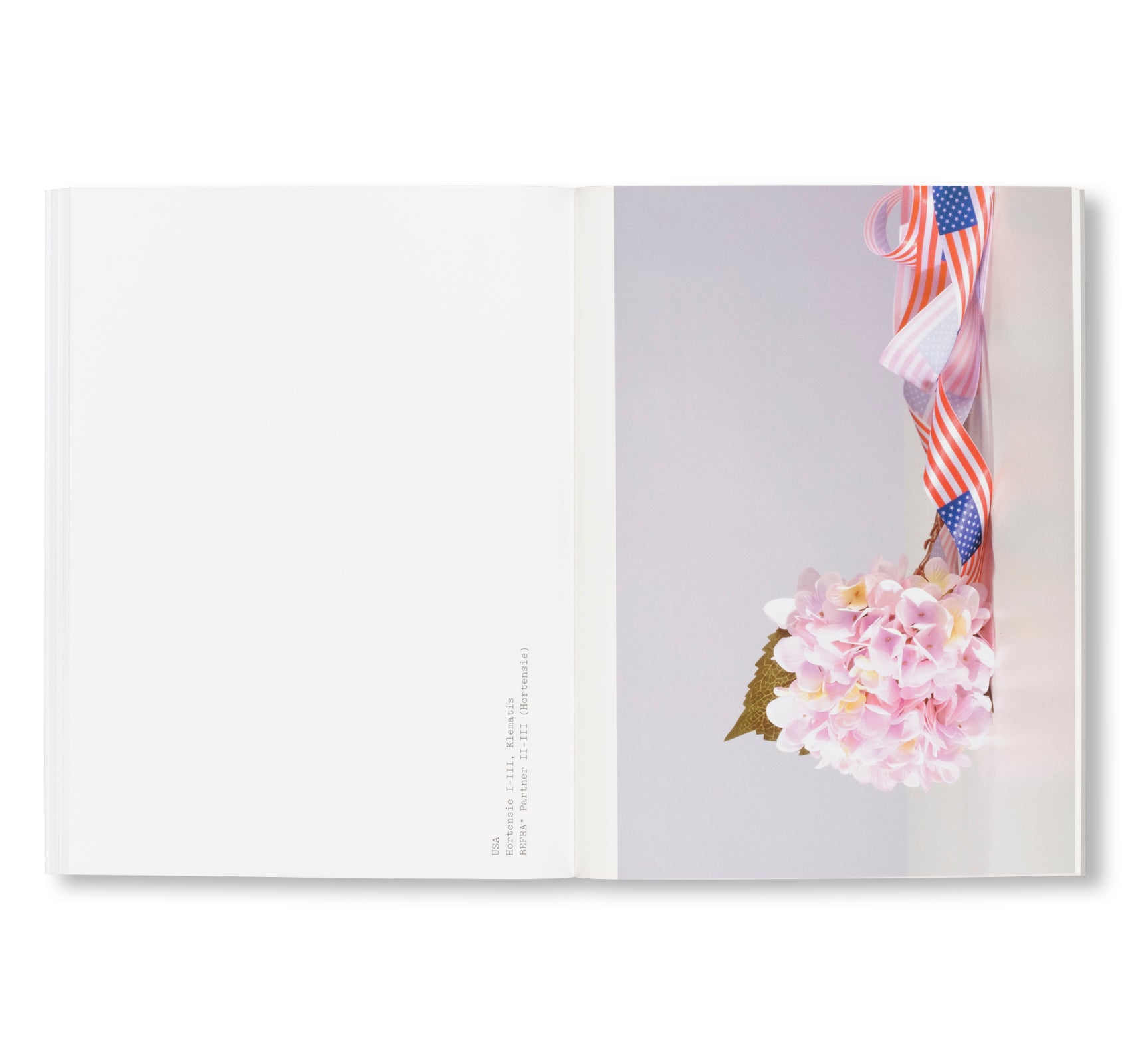 FLEUROP by Sebastian Utzni