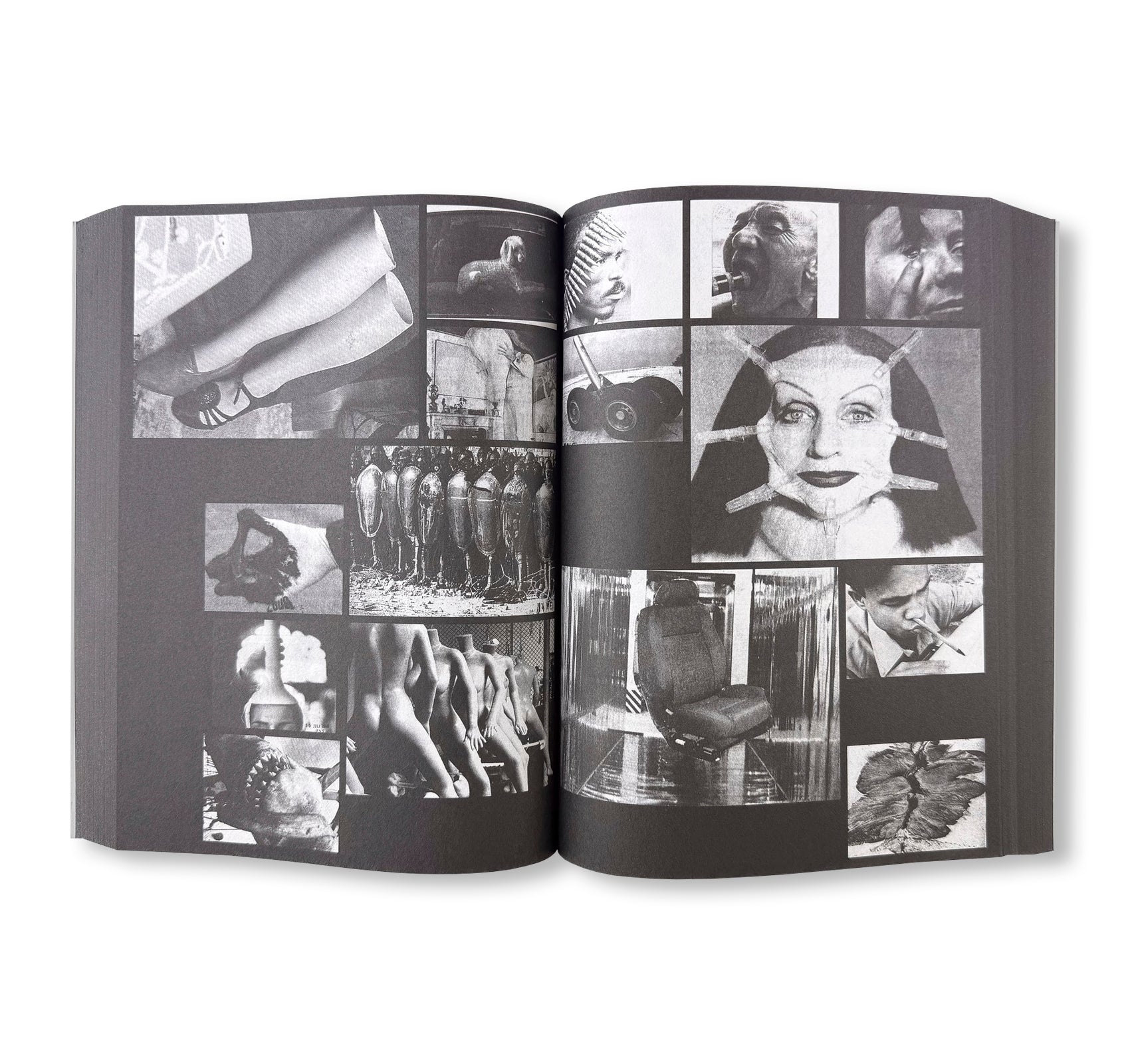 PROVISORIA by Ria Verhaeghe