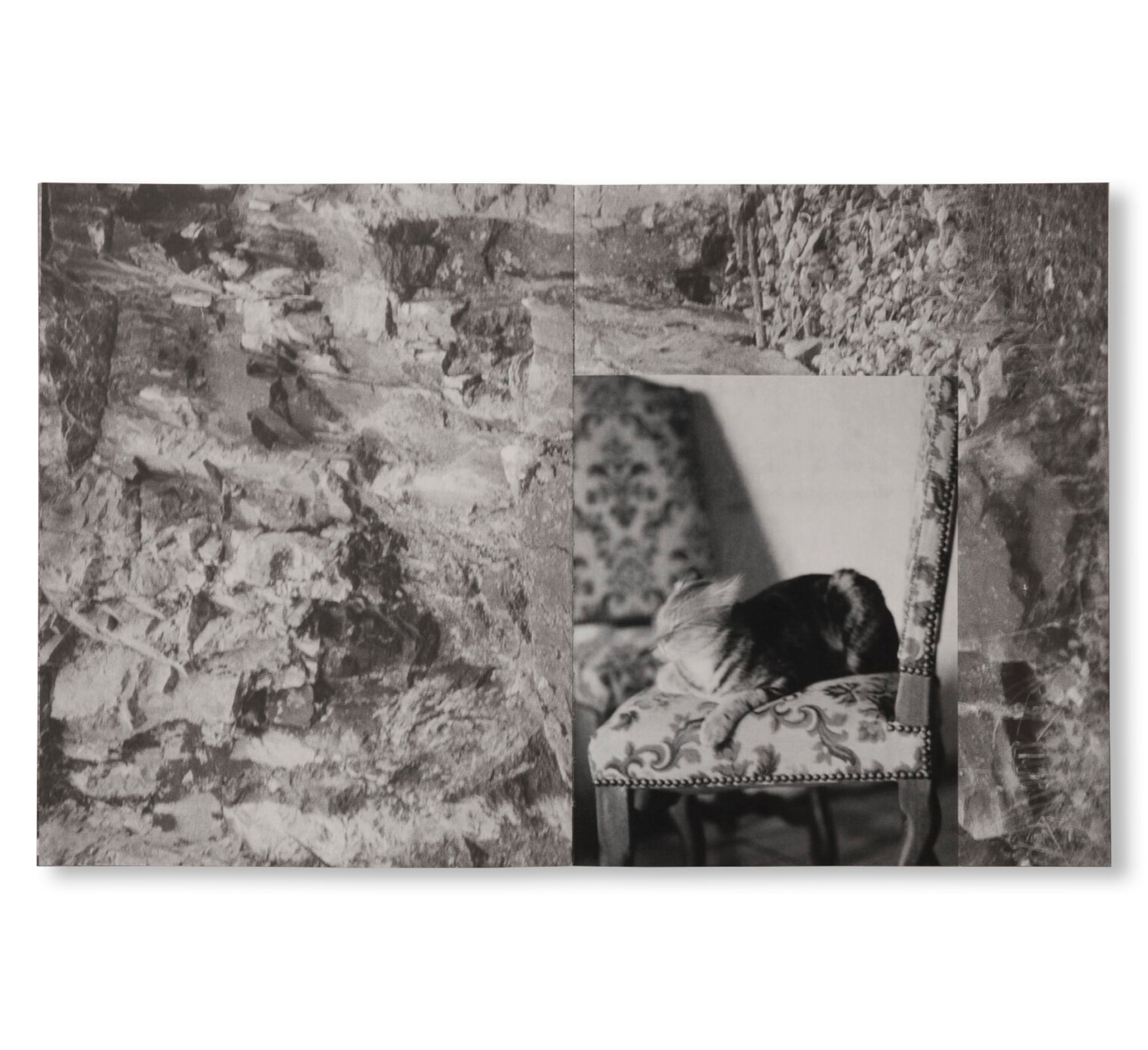 LA RONDE DES HIRONDELLES by Florence Cuschieri