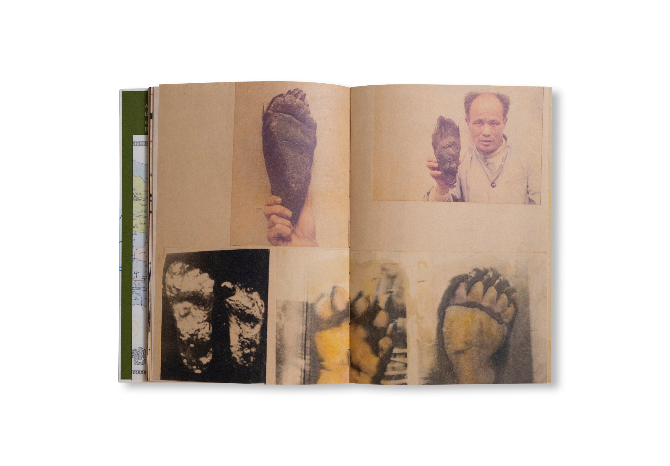 WILDMAN FEVER! by Ruben Lundgren