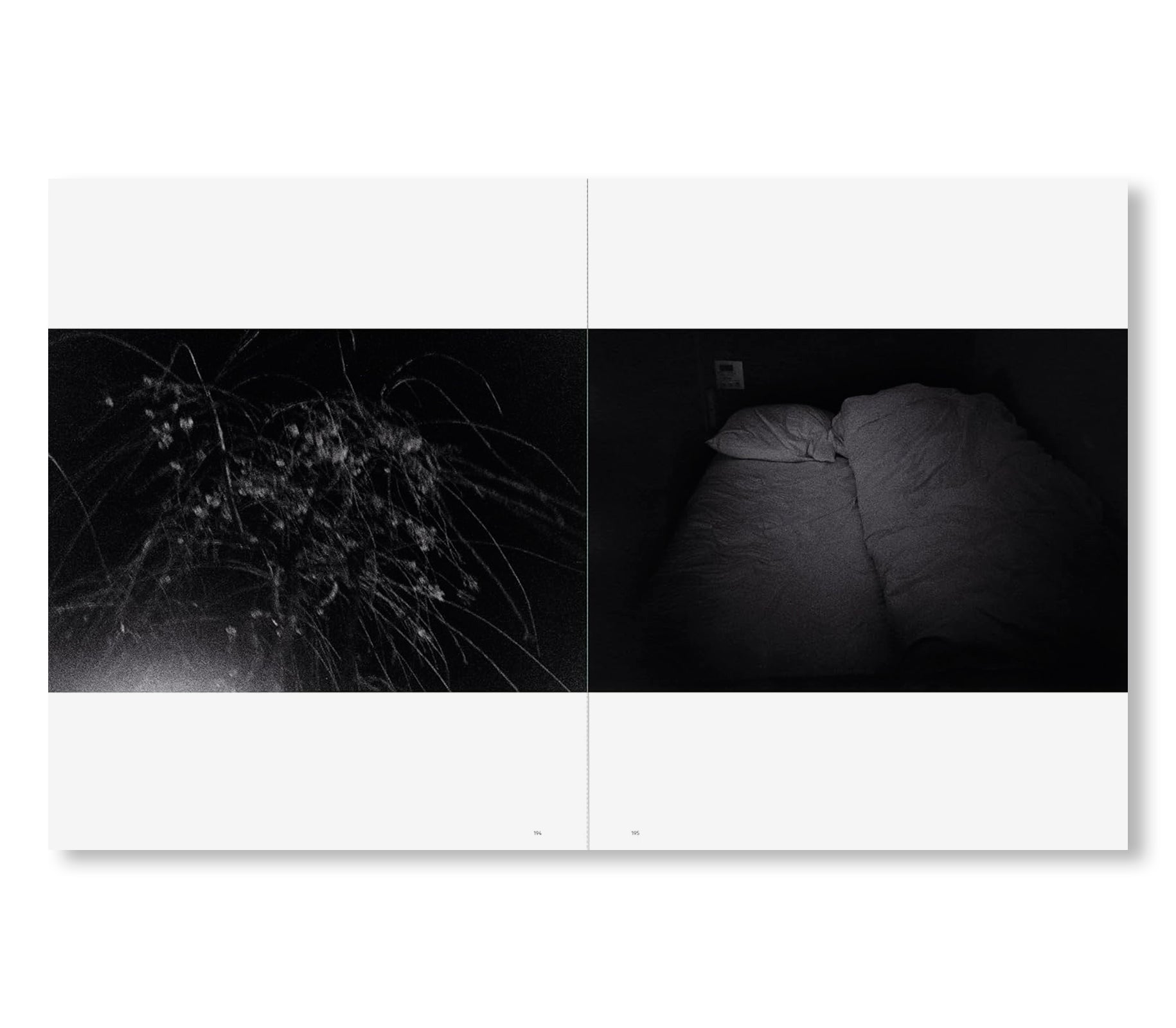 SAKIKO NOMURA: TENDER IS THE NIGHT by Sakiko Nomura