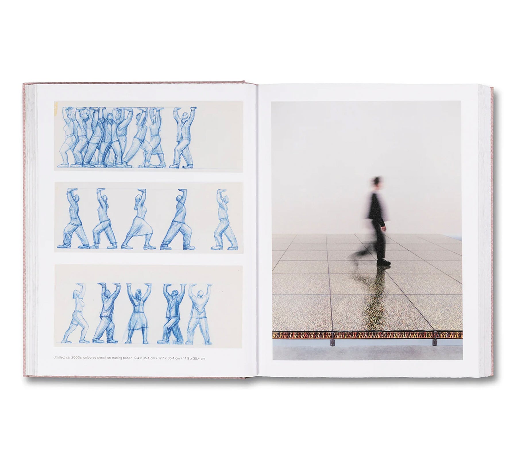 ANATOMY by Do Ho Suh