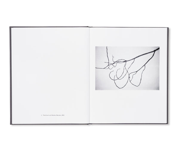 Ellsworth Kelly Photographs エルズワース…ケリー Ellsworth Kelly, 1923- エルズワース・ケリー Untitled (Gemini 1640