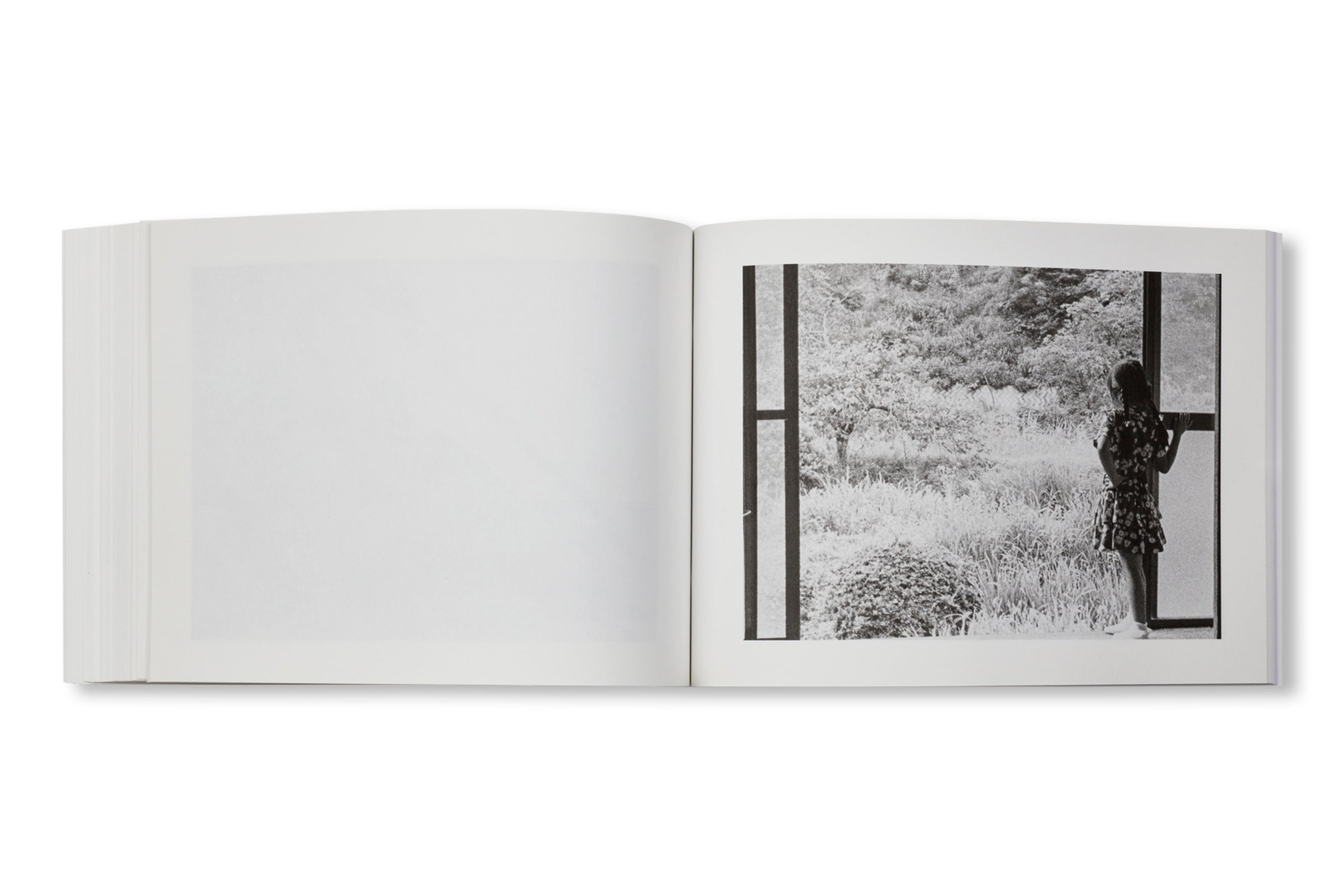 FAMILY DIARY by Issei Suda