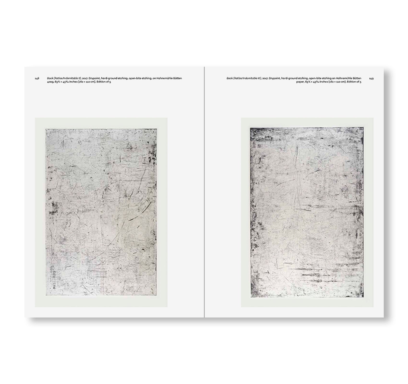 POEMS OF OUR CLIMATE by Matt Saunders