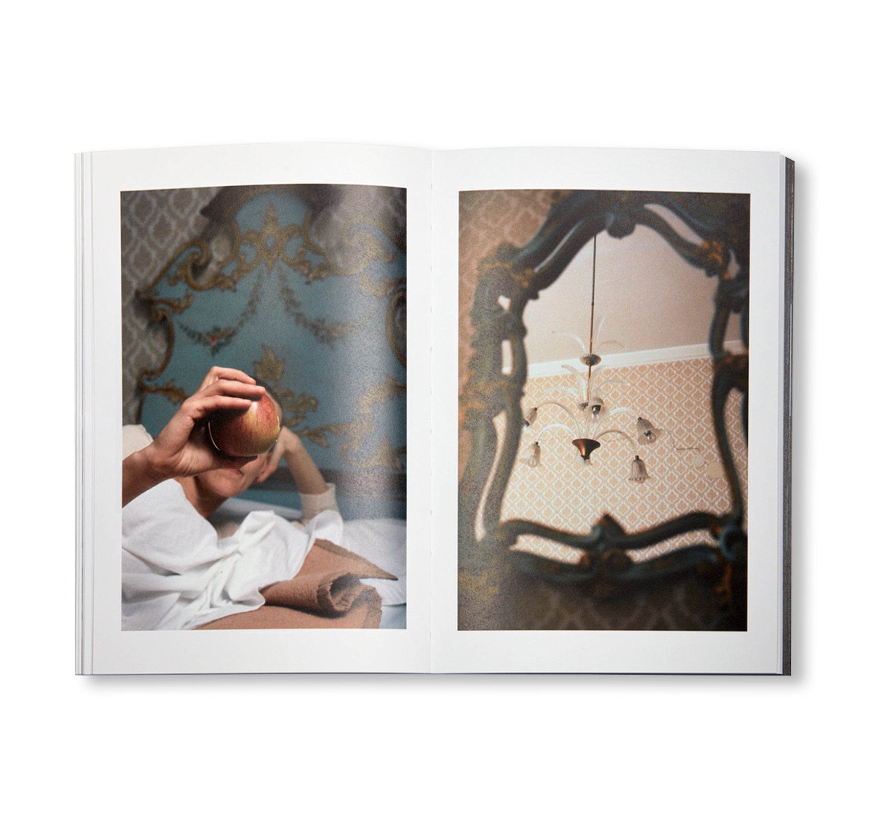 FIRST TRIP TO BOLOGNA 1978 / LAST TRIP TO VENICE 1985 by Seiichi Furuya