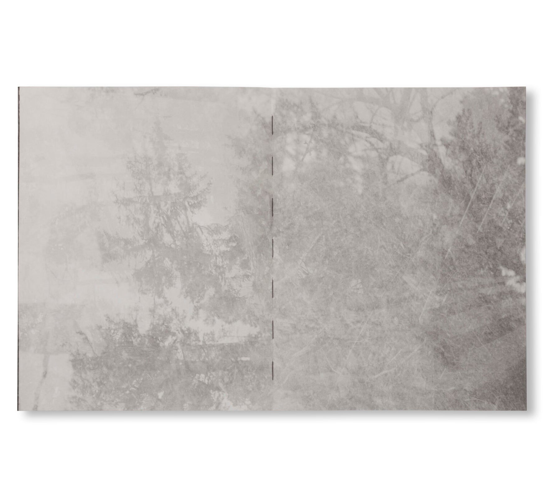 LA RONDE DES HIRONDELLES by Florence Cuschieri