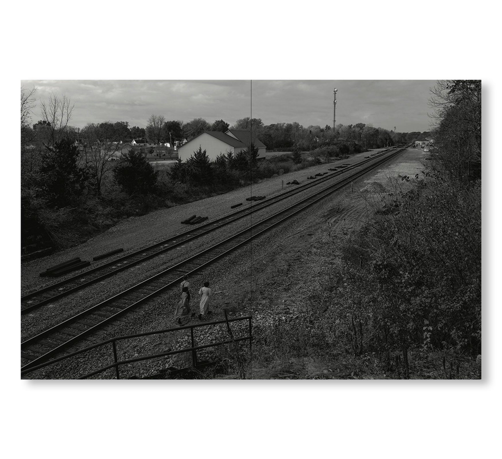 TIN LIZARDS by Robert LeBlanc