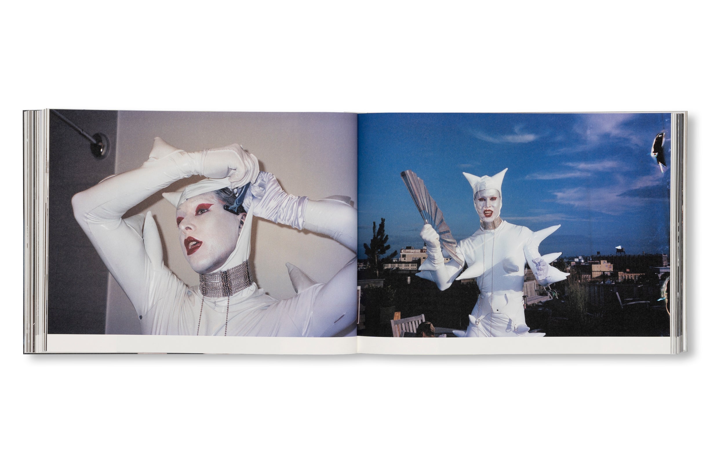 DANCING ON THE FAULT LINE by Nick Haymes