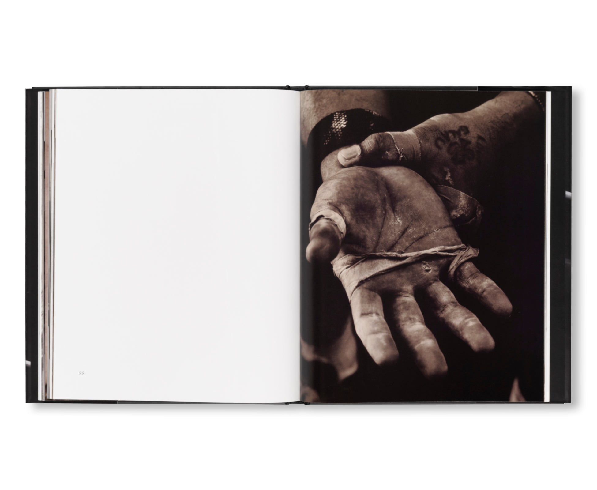 ATHLETES & GYMNASTS by Anderson & Low