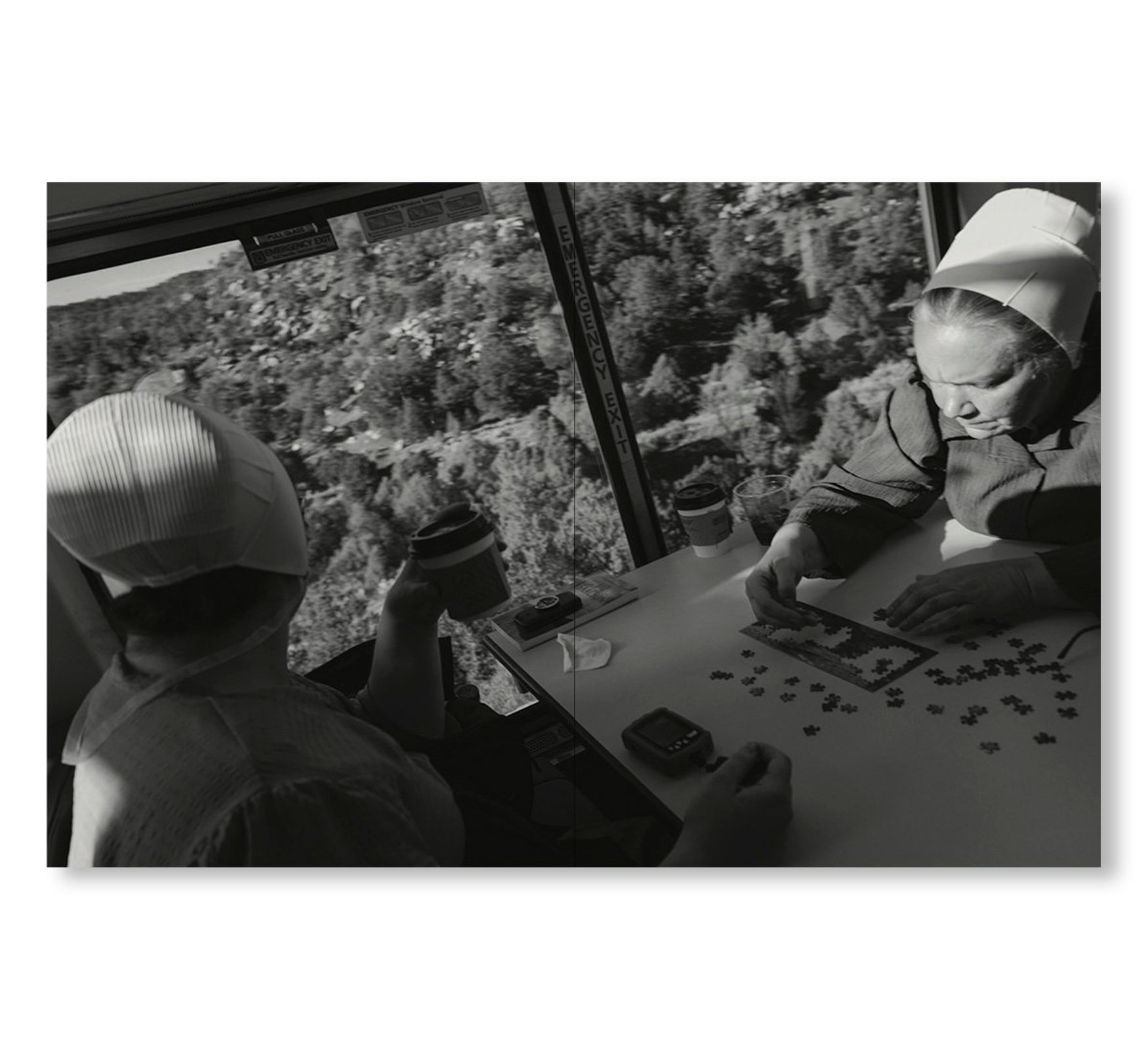 TIN LIZARDS by Robert LeBlanc