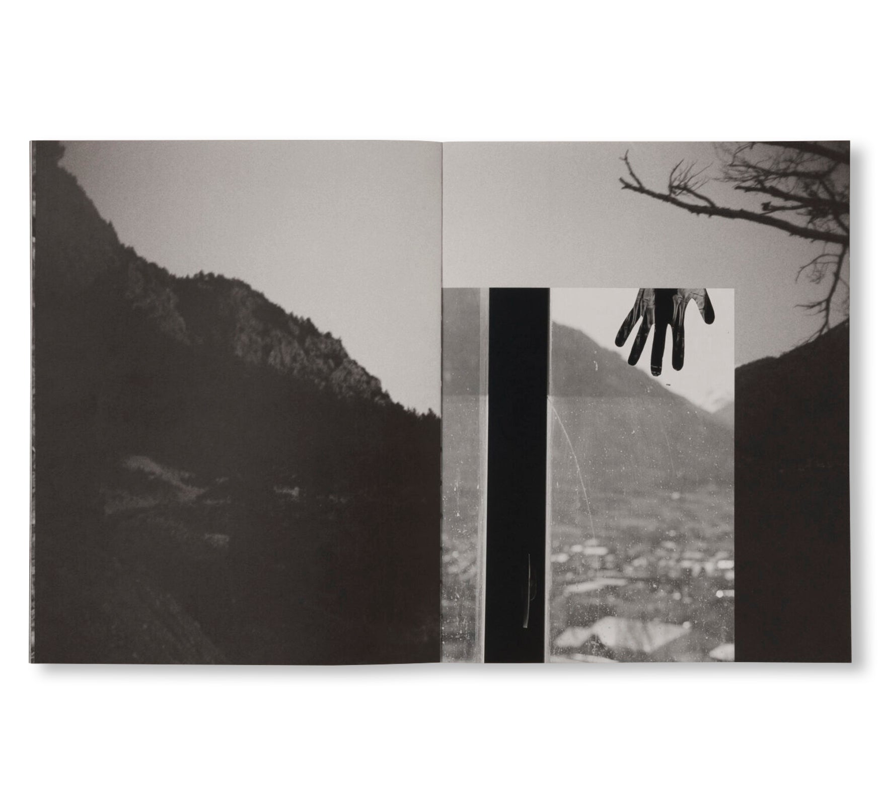 LA RONDE DES HIRONDELLES by Florence Cuschieri