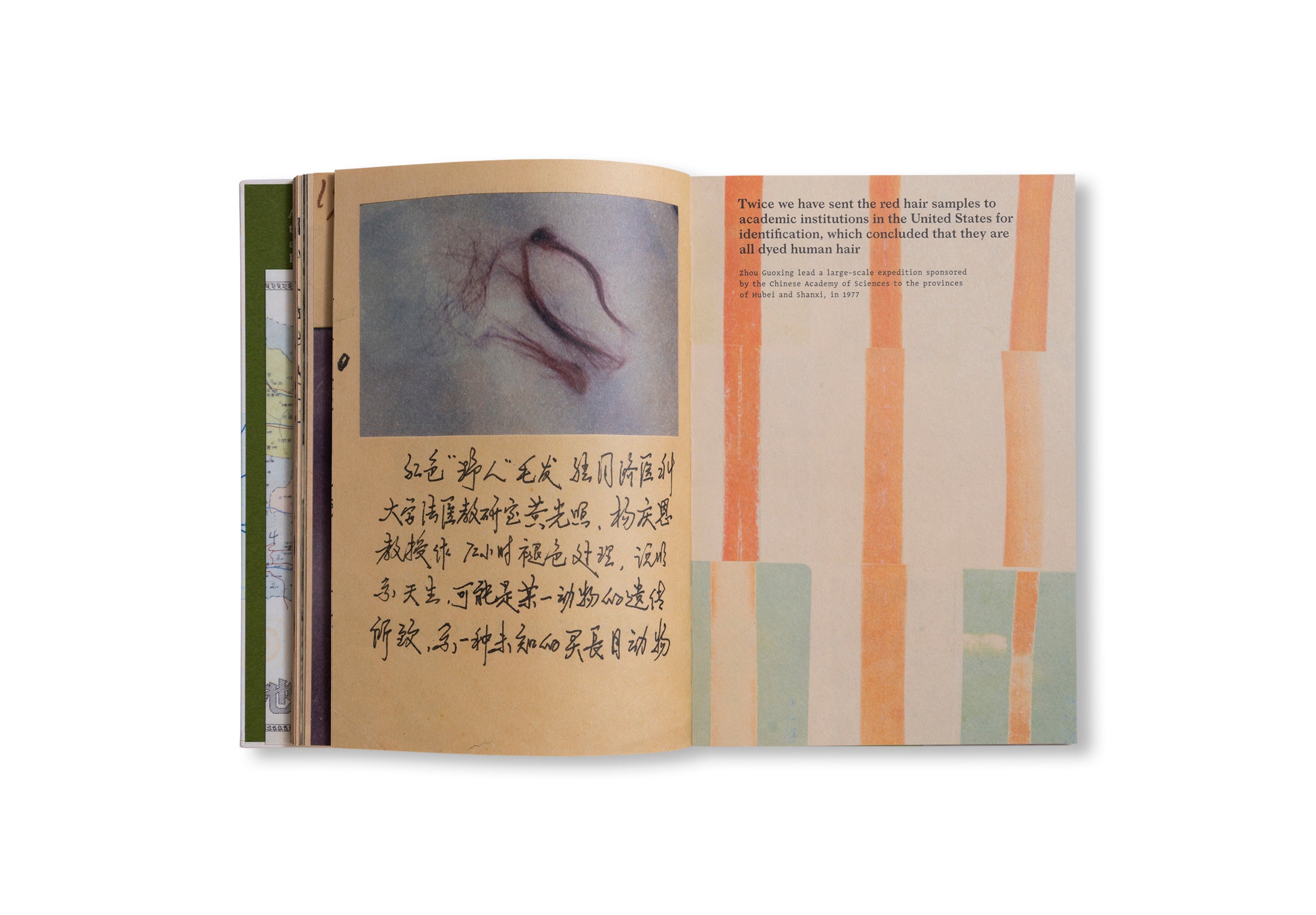 WILDMAN FEVER! by Ruben Lundgren