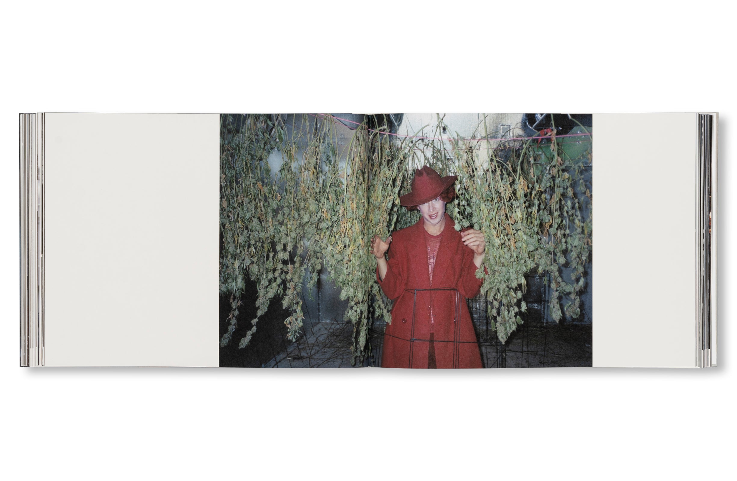 DANCING ON THE FAULT LINE by Nick Haymes