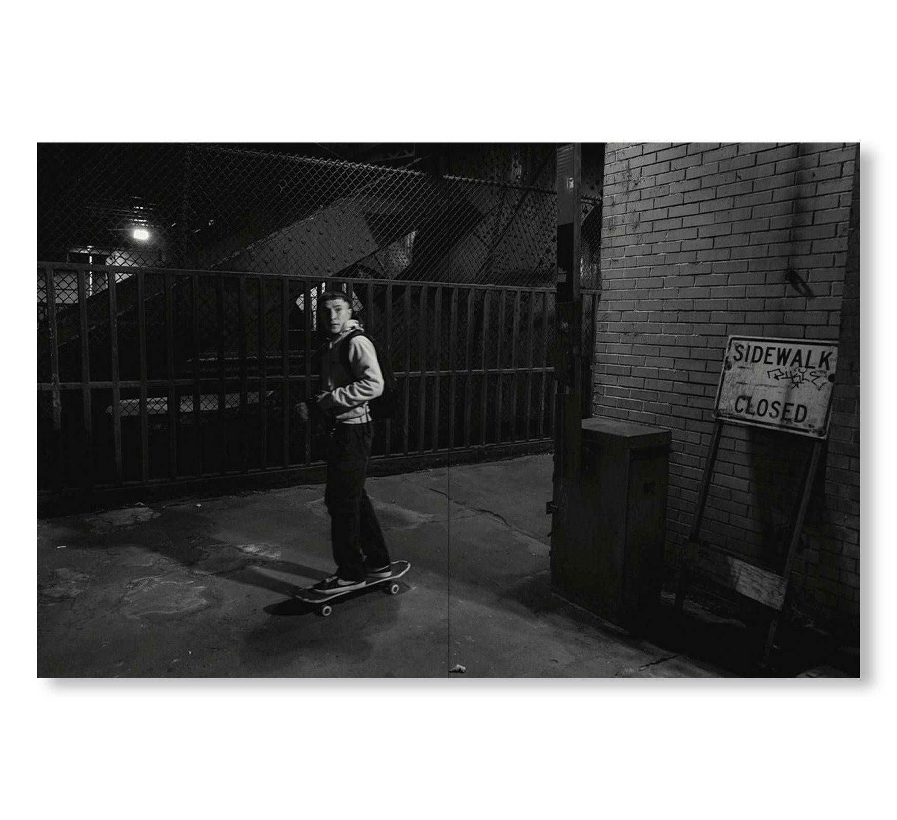 TIN LIZARDS by Robert LeBlanc